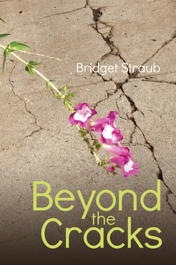 Cover for Bridget Straub's latest book. Get it on Amazon !