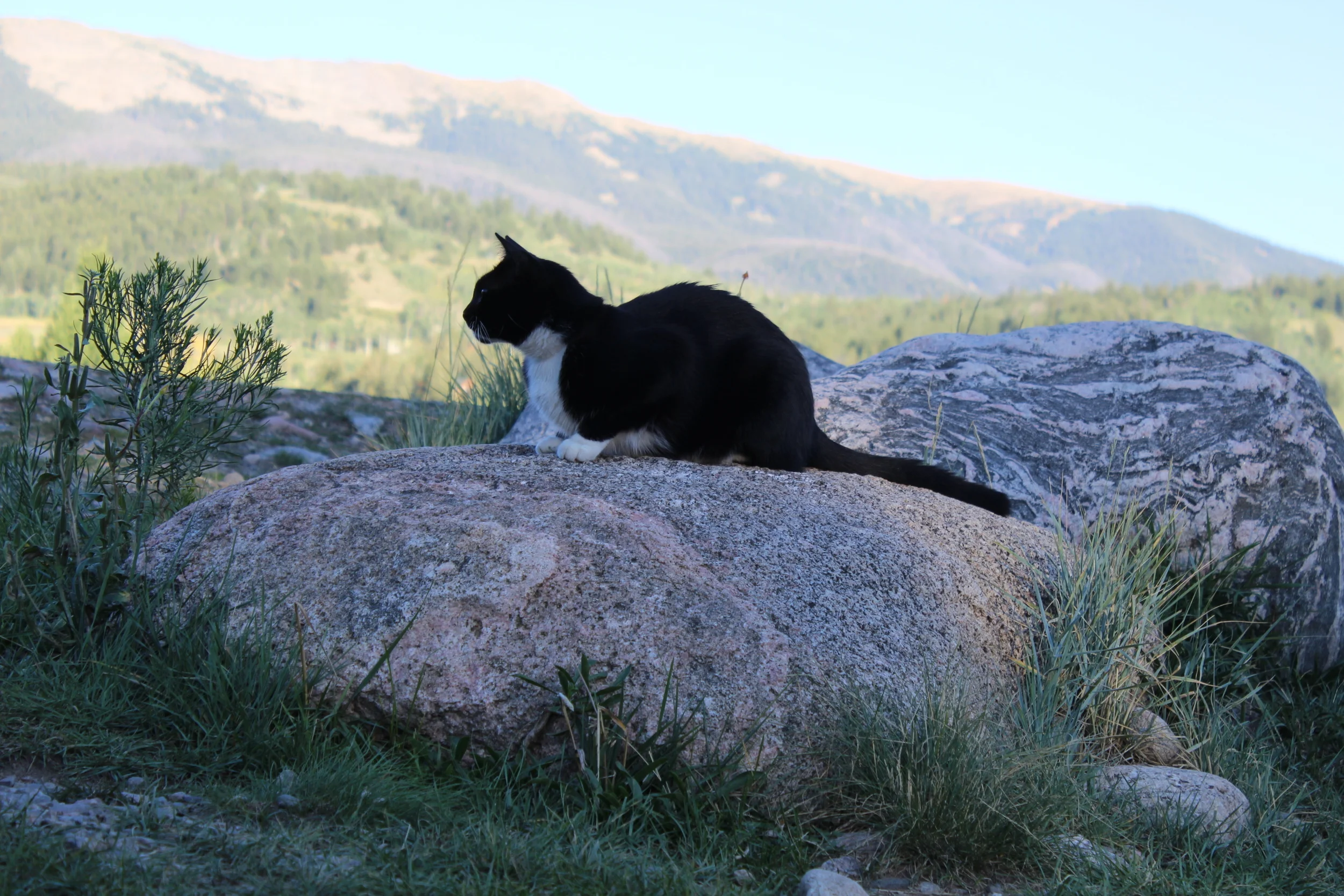 Westward Ho! / Day 6 ... The Great Divide