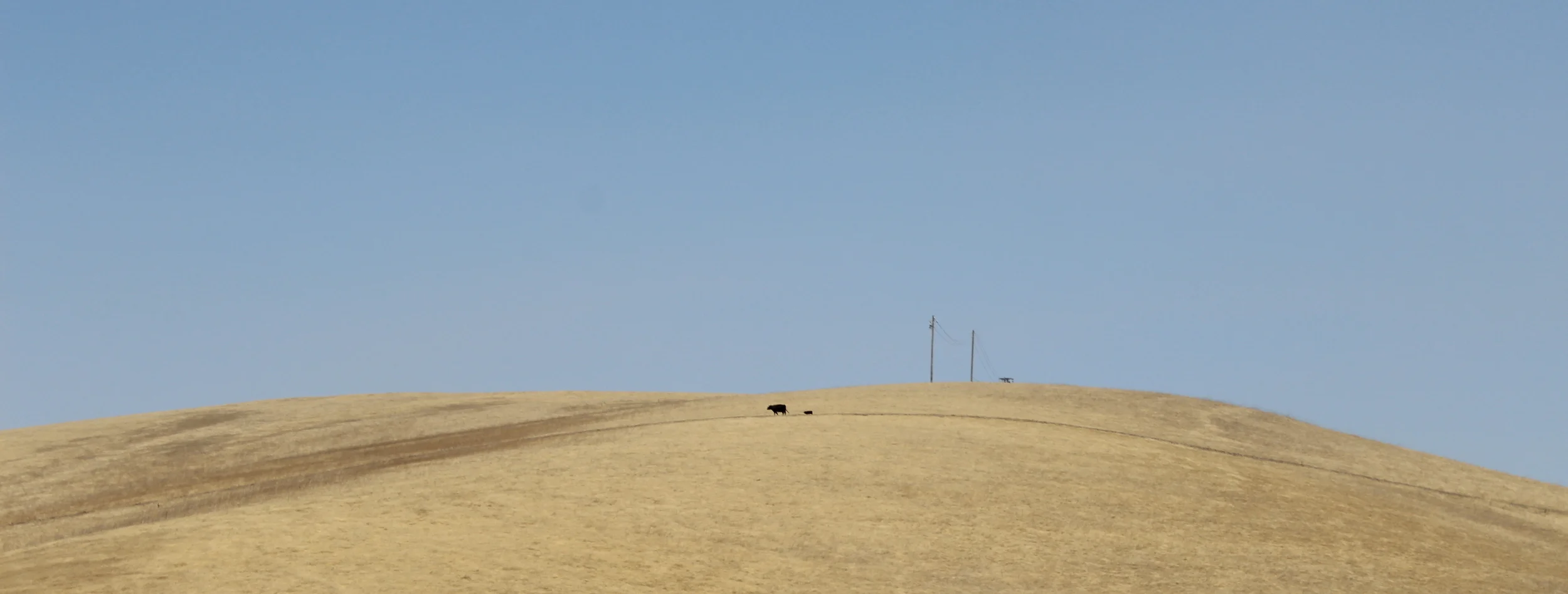 Westward Ho! / Day 12 ... We Made It!