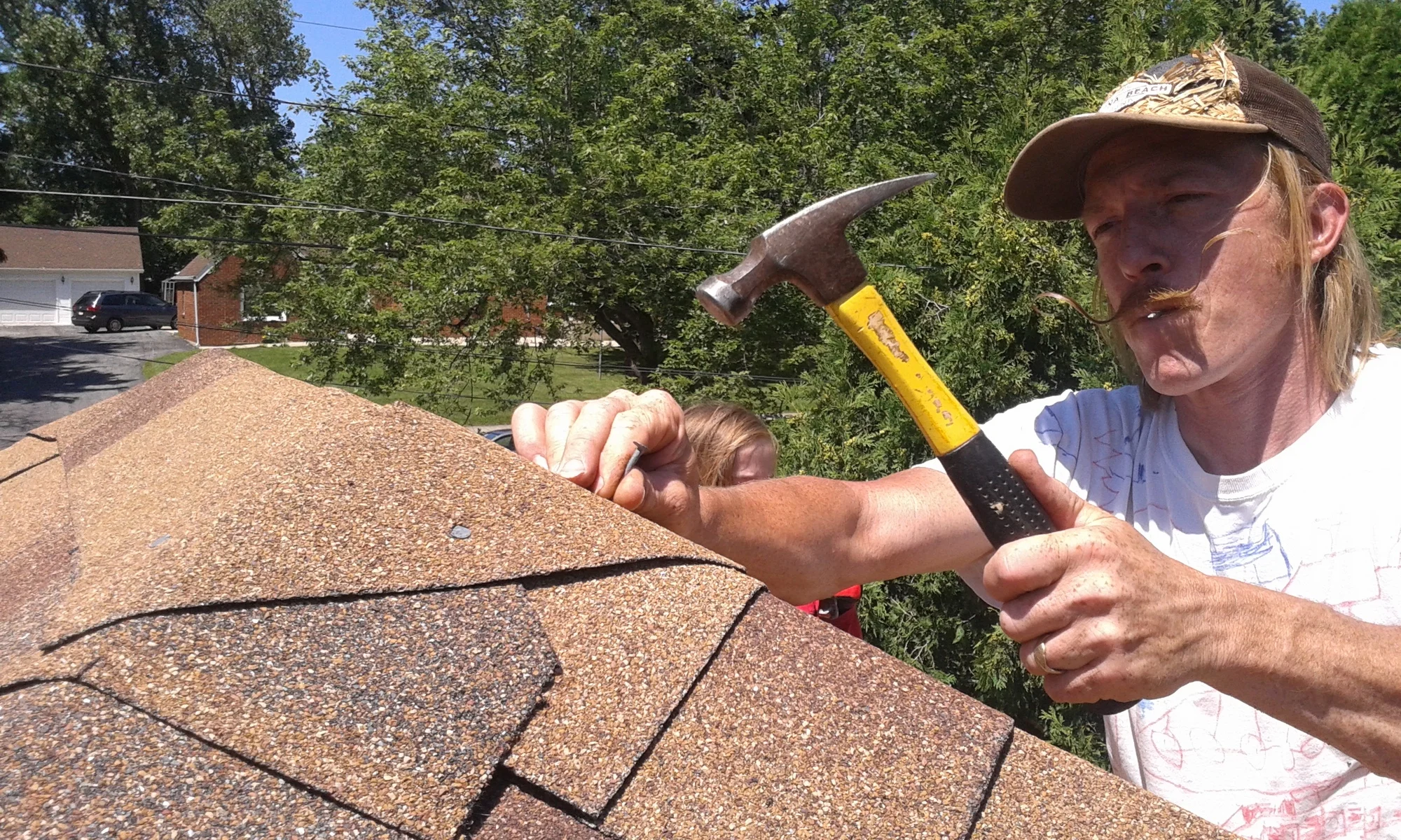 Standing in the Clearing