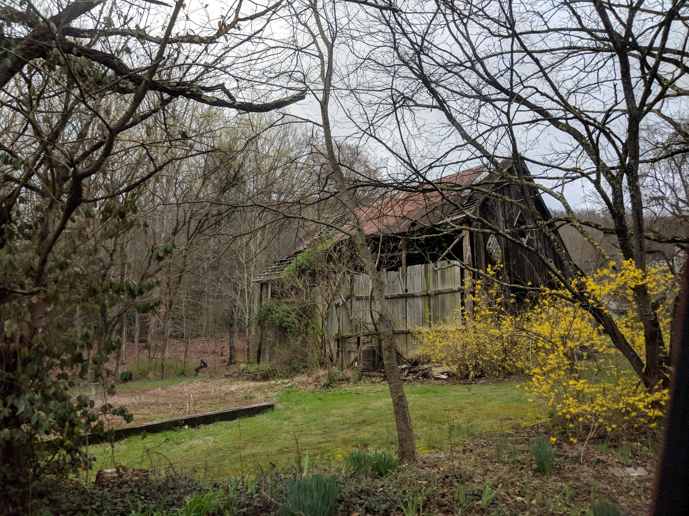 MVIMG_20180306_164253.jpg