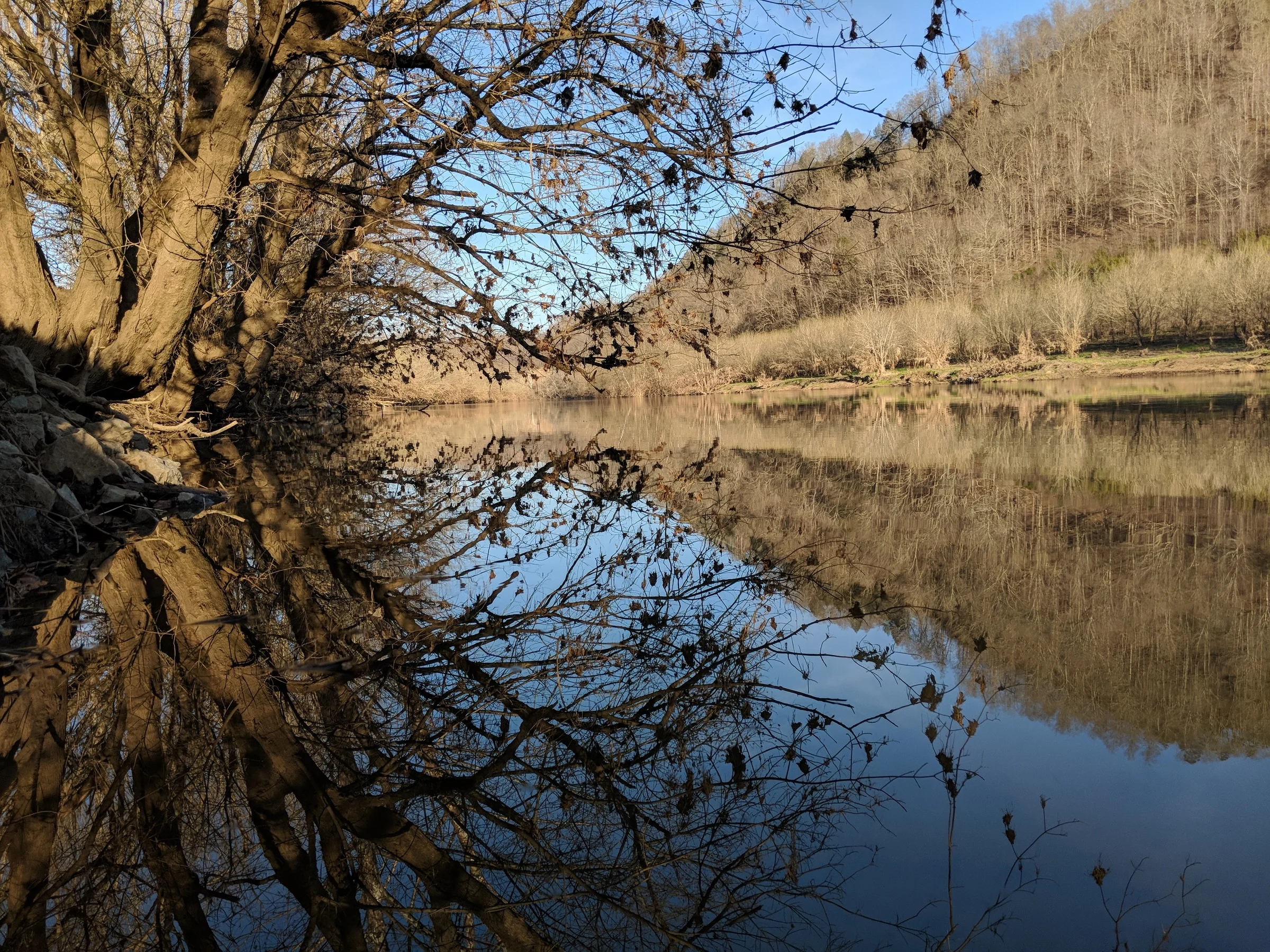 MVIMG_20180316_182336.jpg