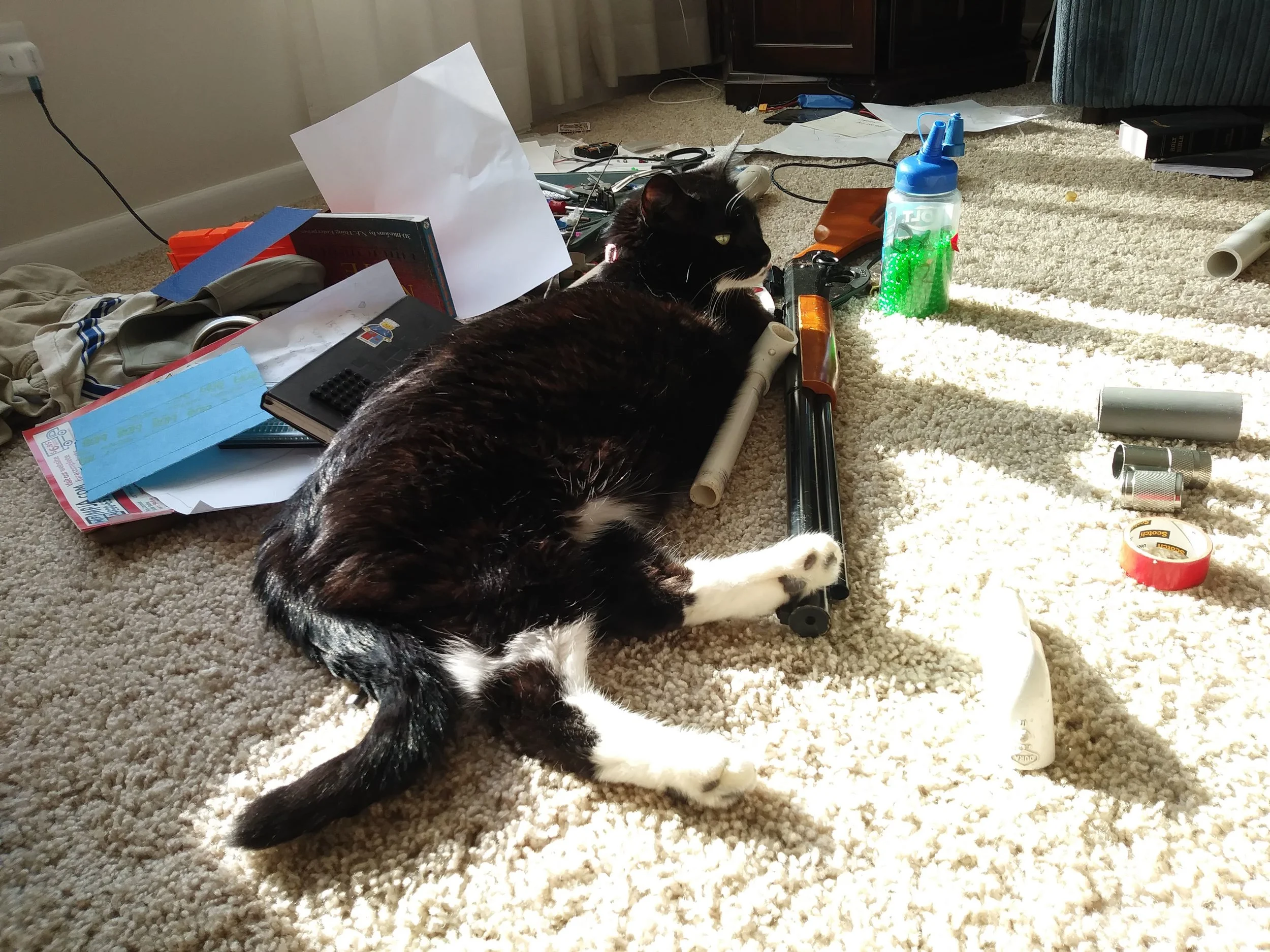 20190610_174558.jpg