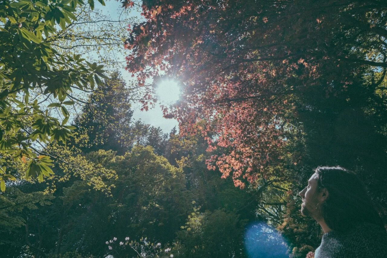 David Ian Roberts Sun.jpeg