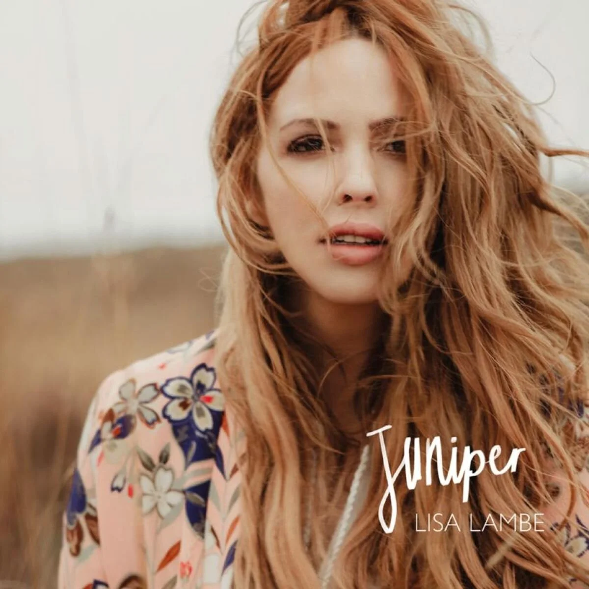 Lisa Lambe Juniper Album Review Red Guitar Music Lisa Lambe Juniper Album Review Red Guitar Music