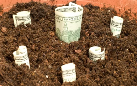 Five Characteristics of Non-Profits That Attract The $1 Million Gift