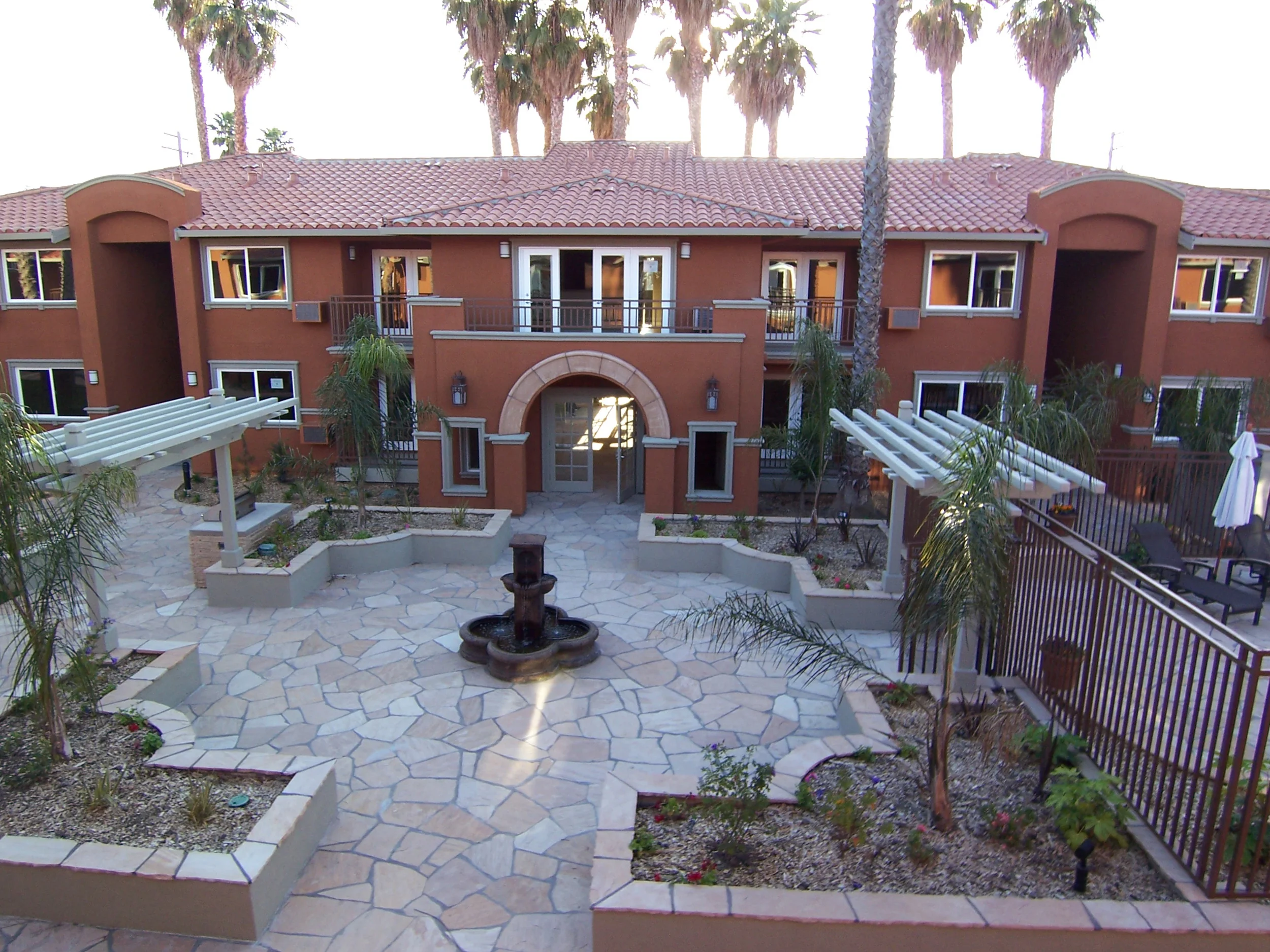 court yard palms.jpg