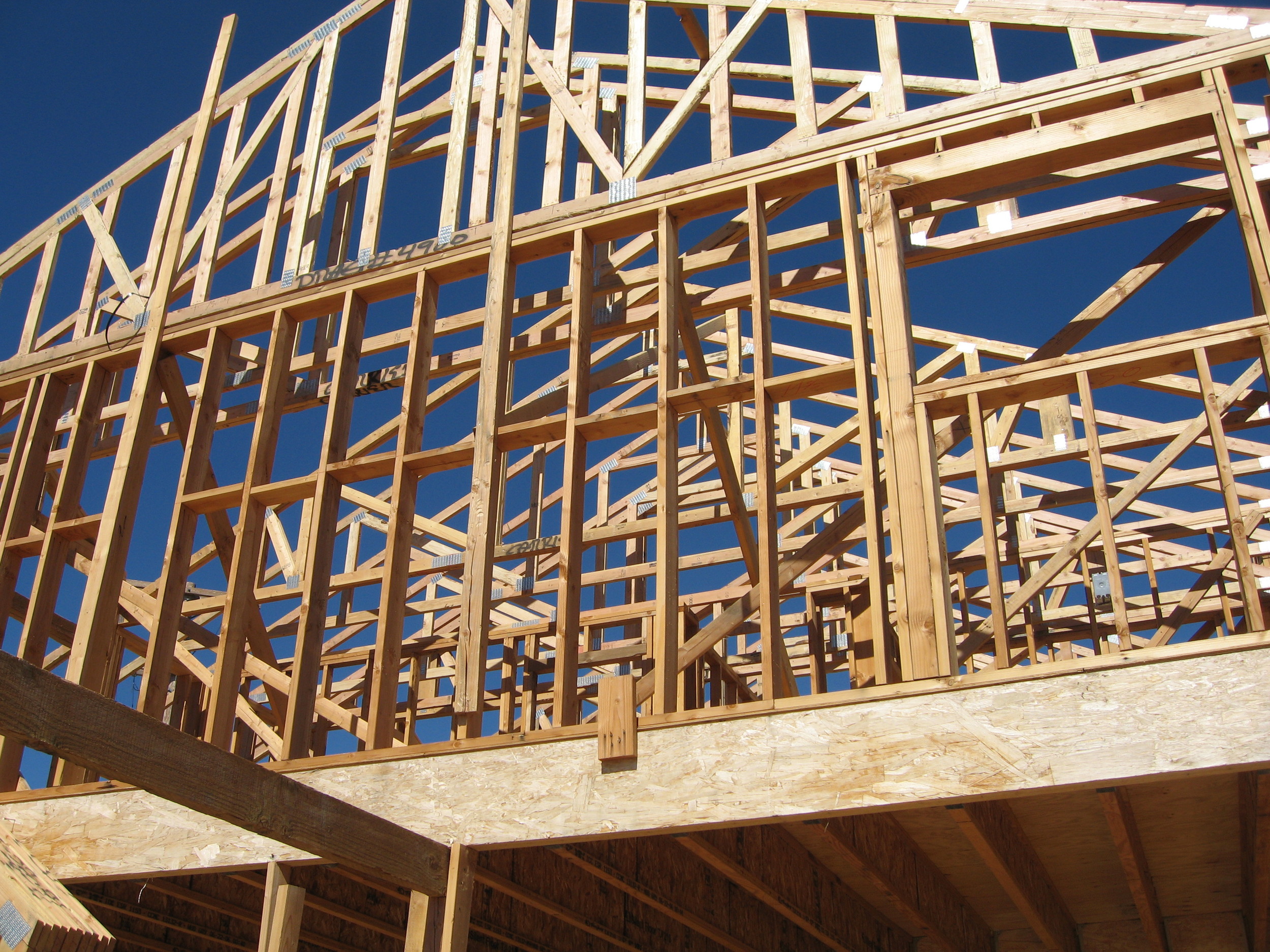 Misc 8 20 07 054 (1).jpg