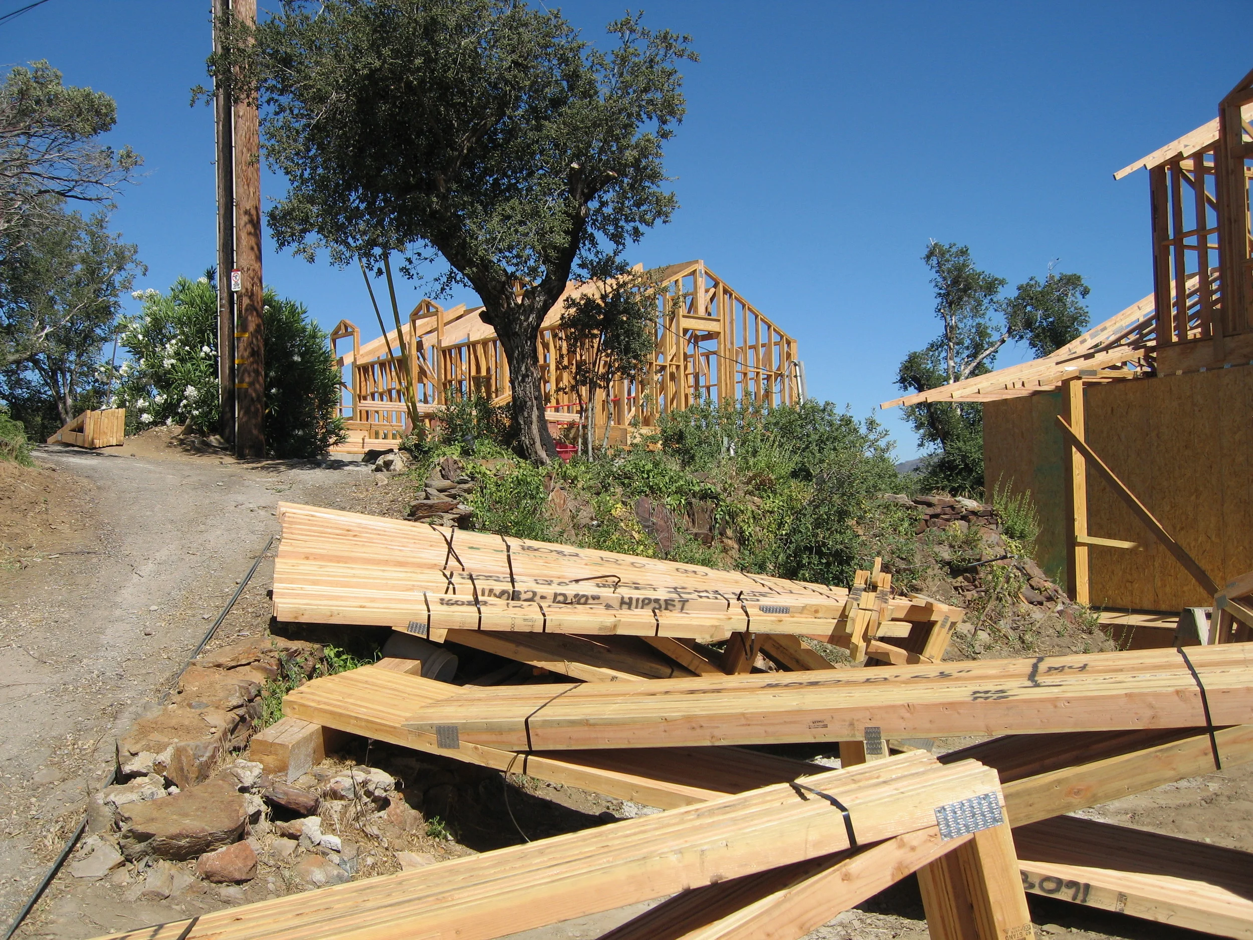 Misc 8 20 07 052 (1).jpg