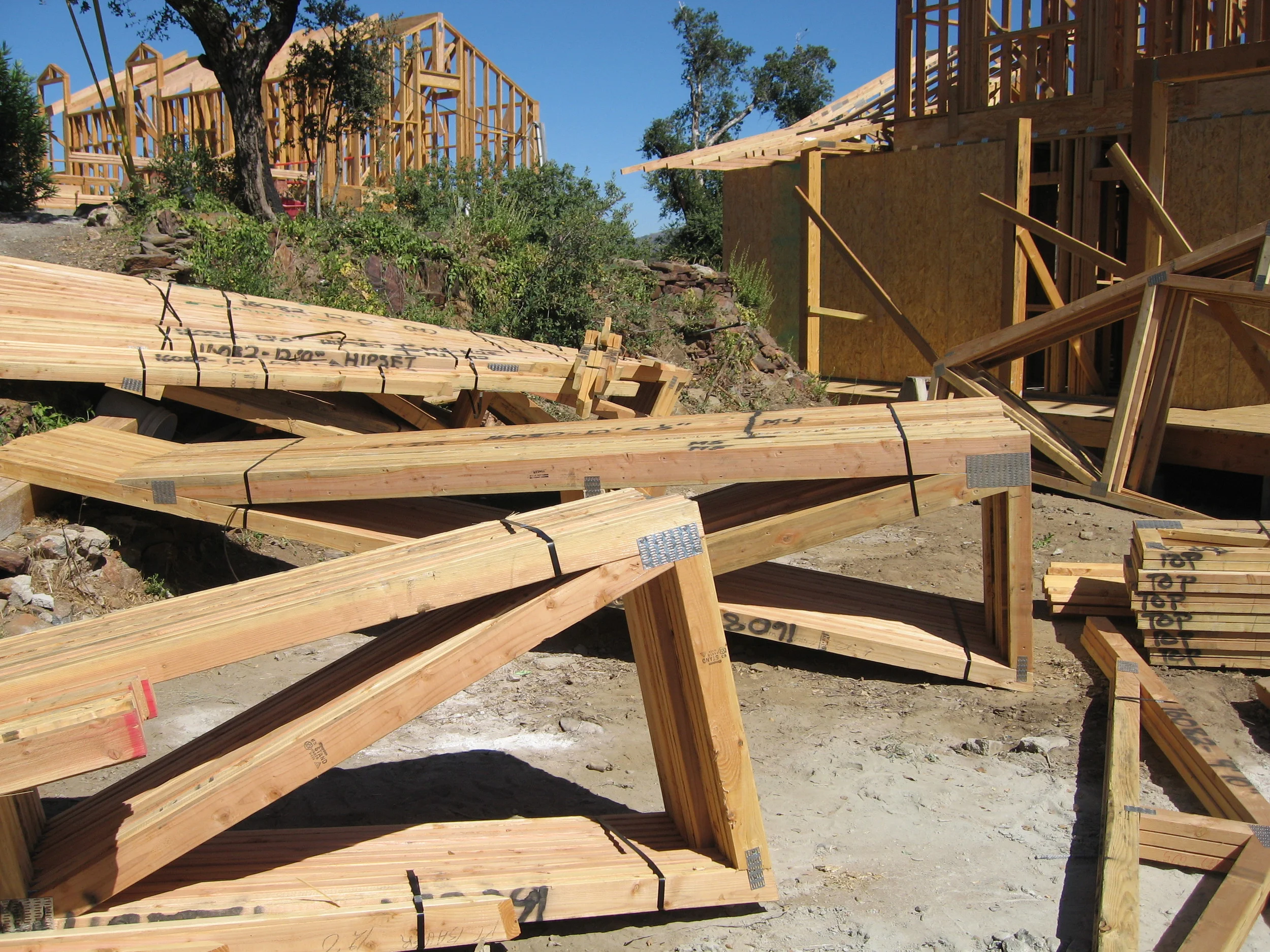 Misc 8 20 07 051 (1).jpg