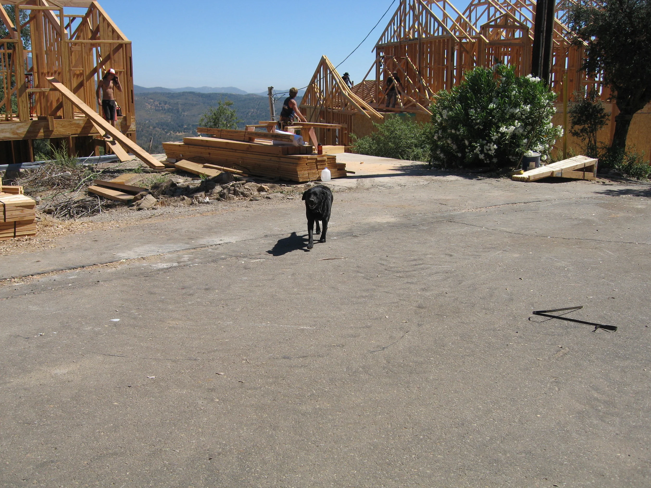 Misc 8 20 07 049.jpg