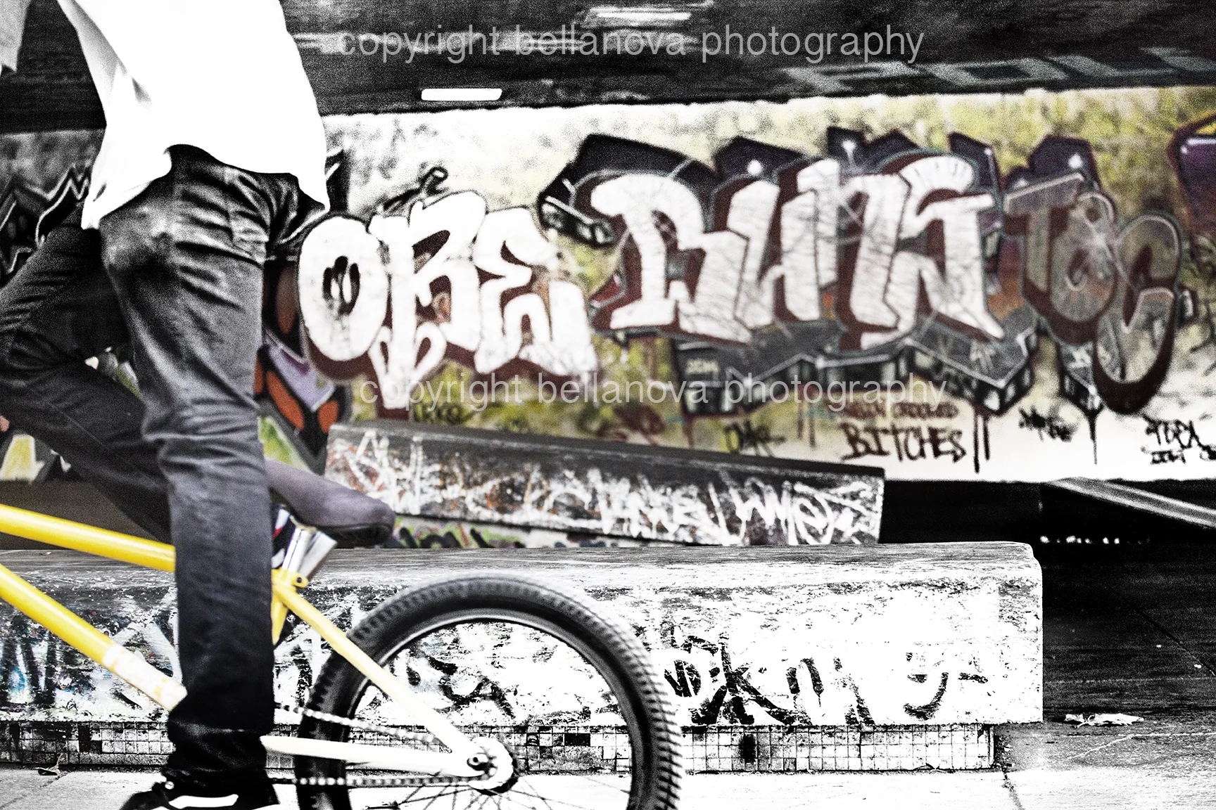 "PASSING BY" LIMITED EDITION (10) FINE ART STYLED CANVAS WITH WHITE EDGE. 