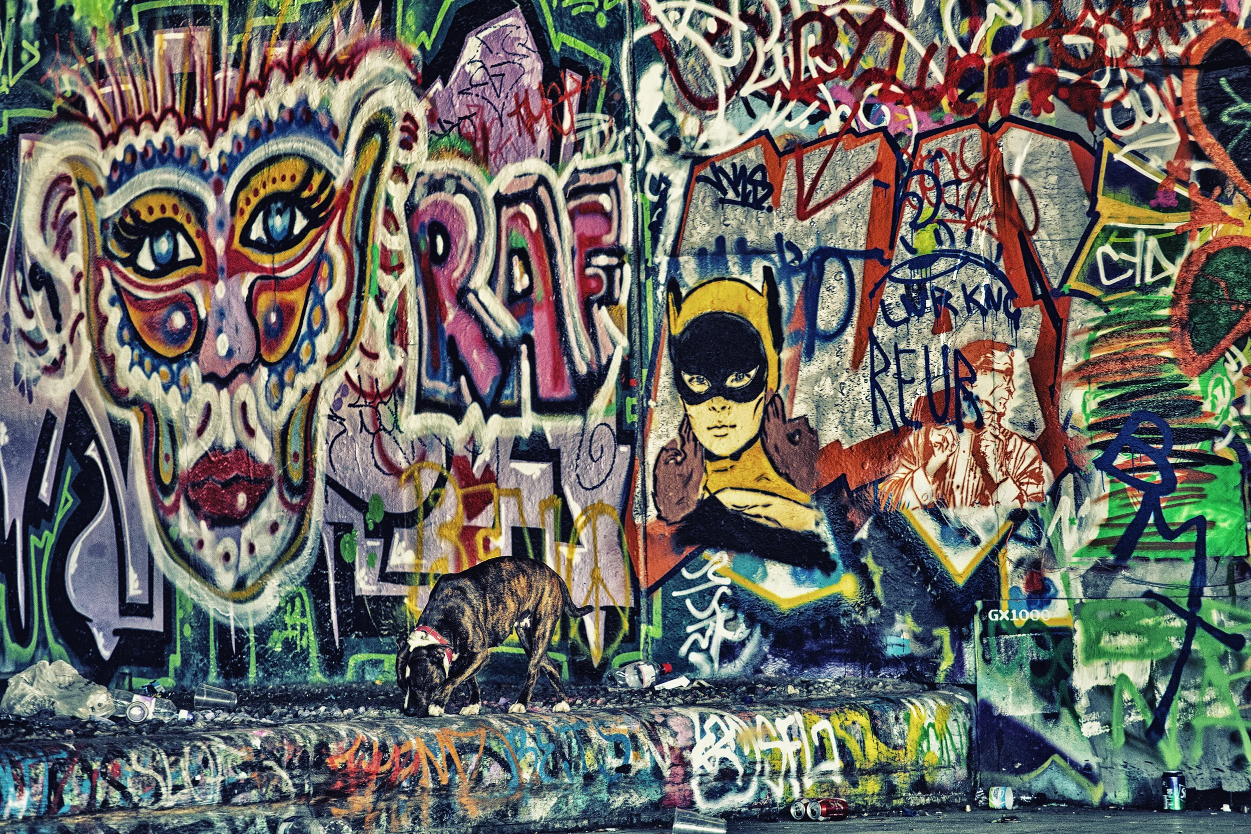 "GRAFFITI BUILDINGS BRIGHTON" LIMITED EDITION