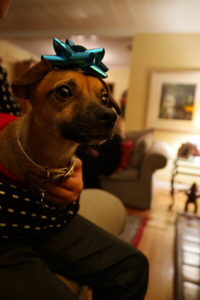 iphone-20141229130115-1.jpg