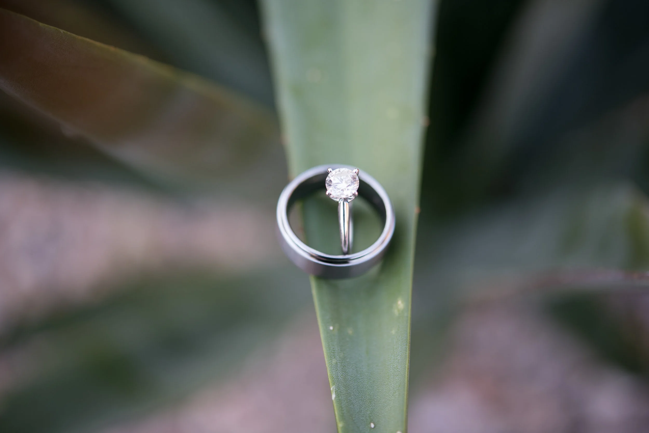 Jennifer Alyse Weddings AZ014.jpg