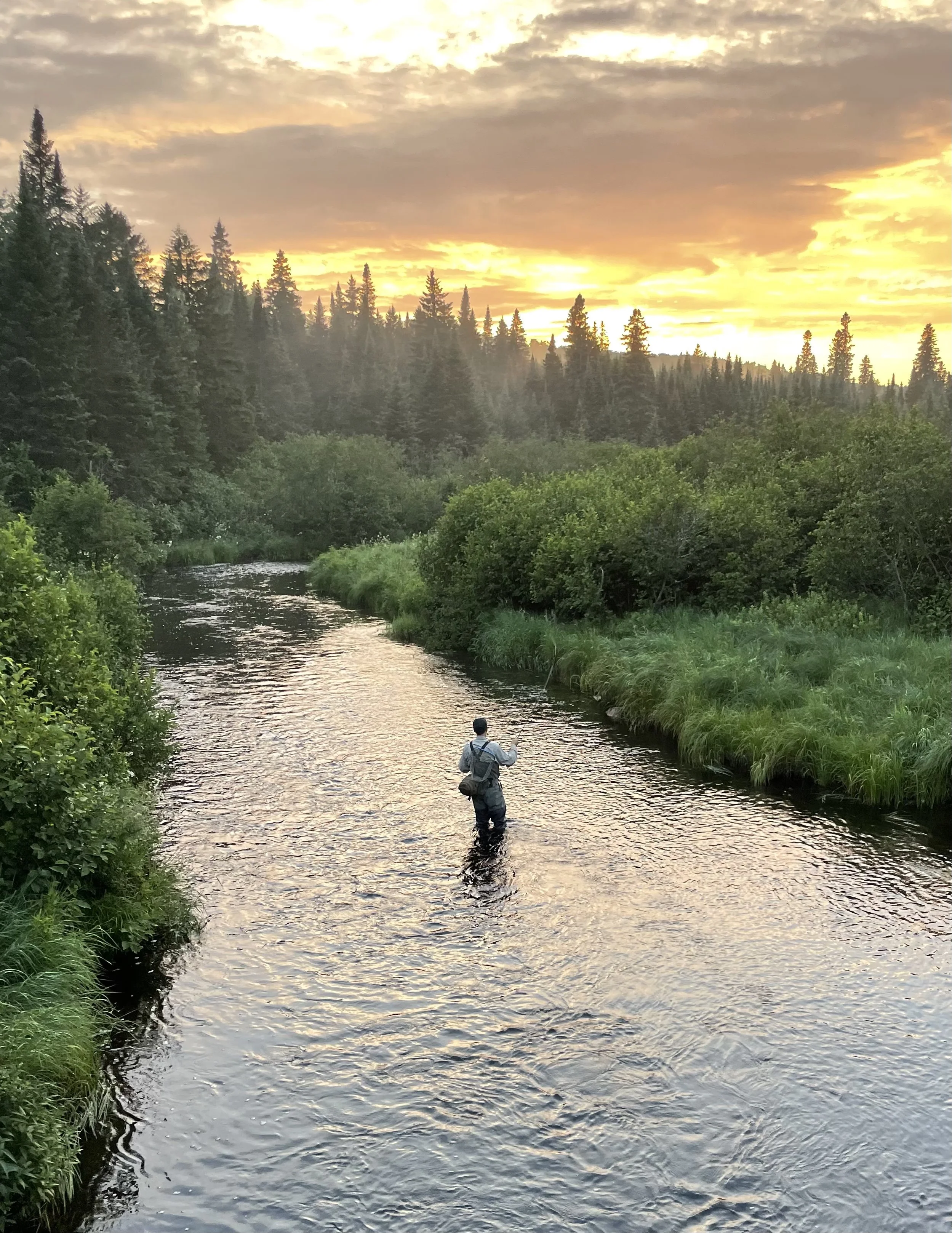 Guided Fly Fishing Trip for 1-3 anglers