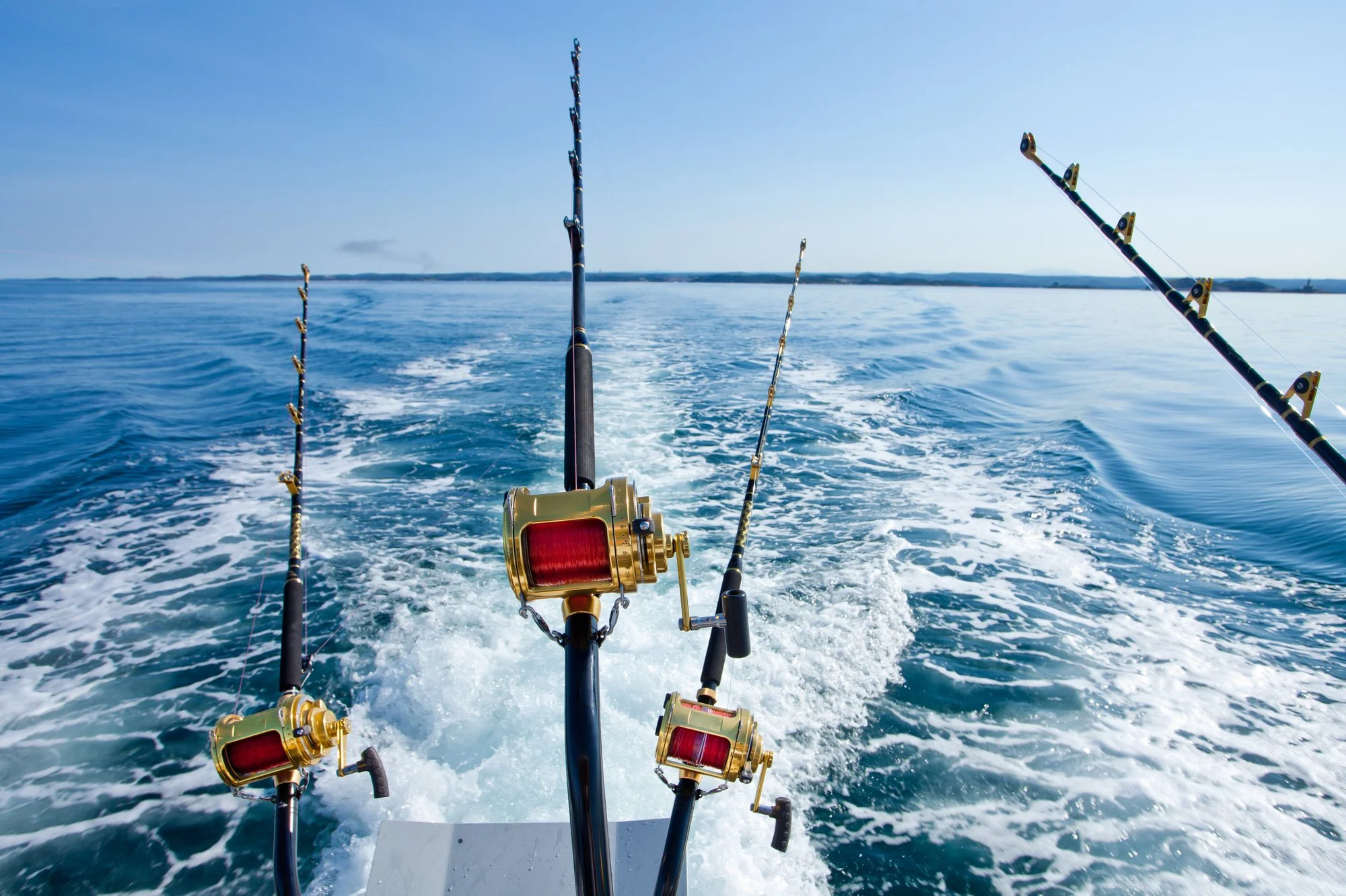 Varying Fishing Trips and Charters
