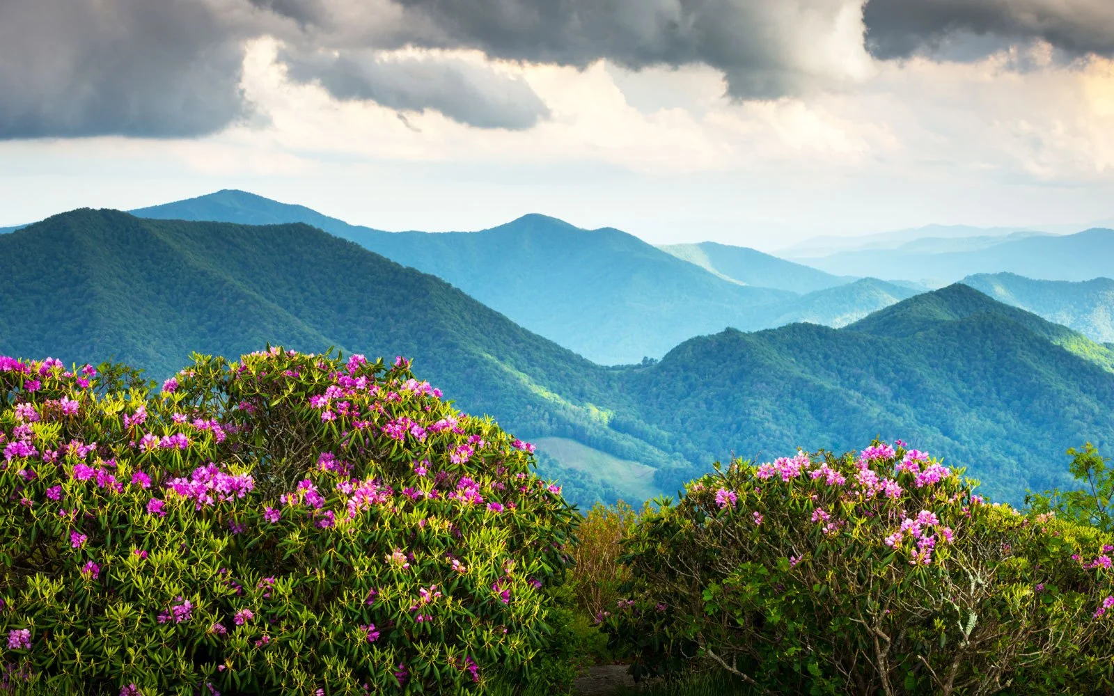 blueridge mountains.jpg