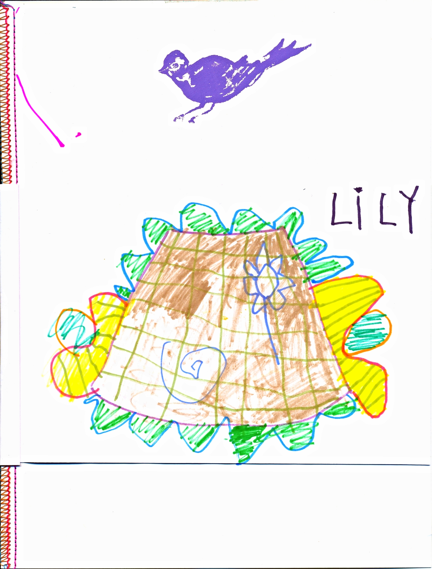 Lily's Design Book