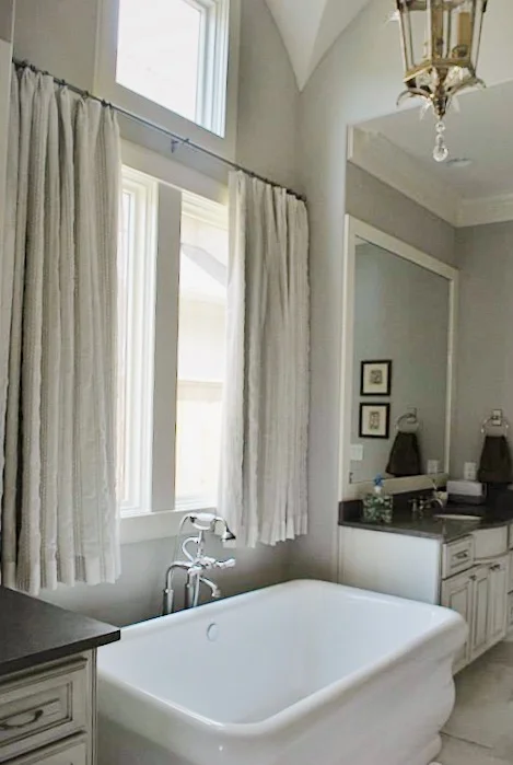 nielsen master bath2.JPG