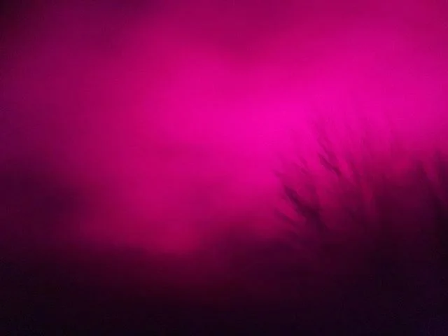 &ldquo;That&rsquo;s really magenta!&rdquo; -Layla