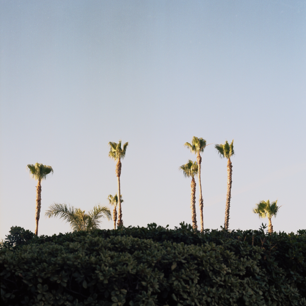 Alta Loma, CA