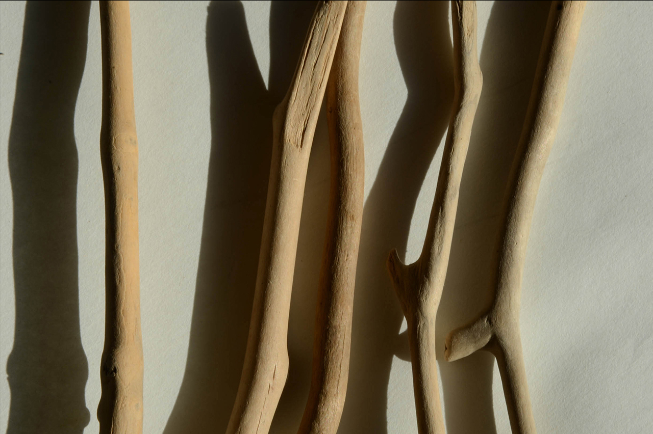 sticks