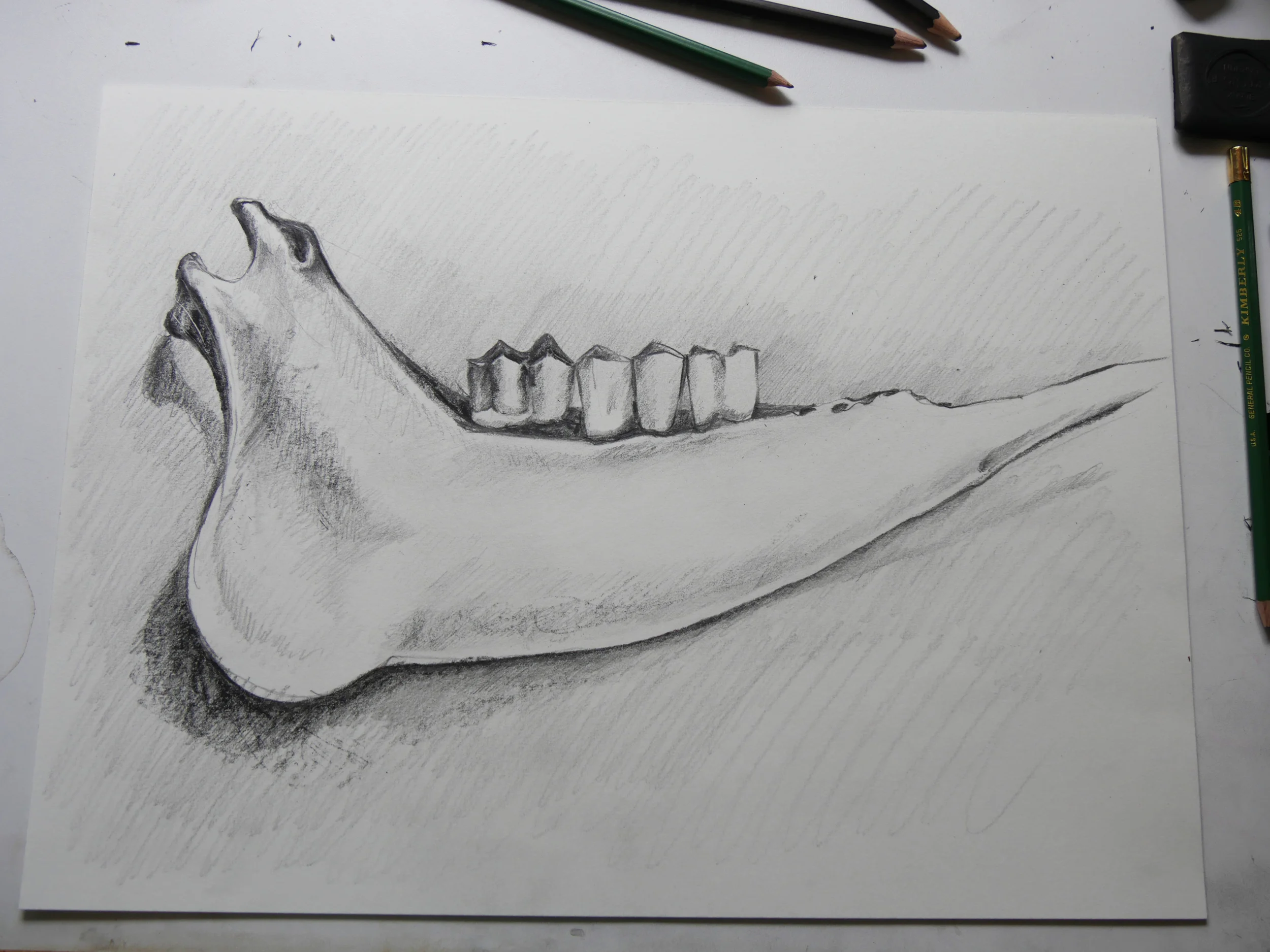 jawbone.jpg