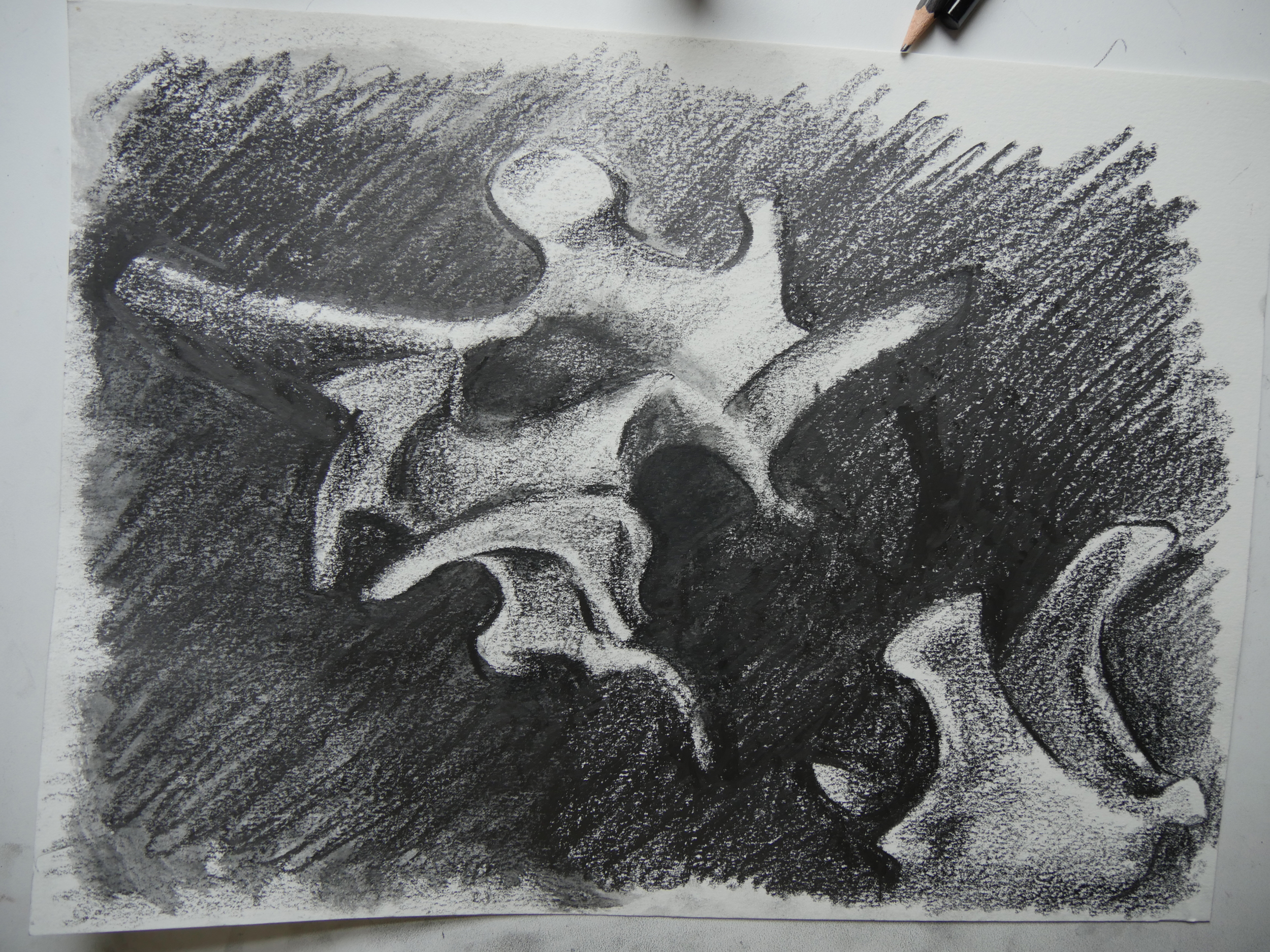 more dark bones