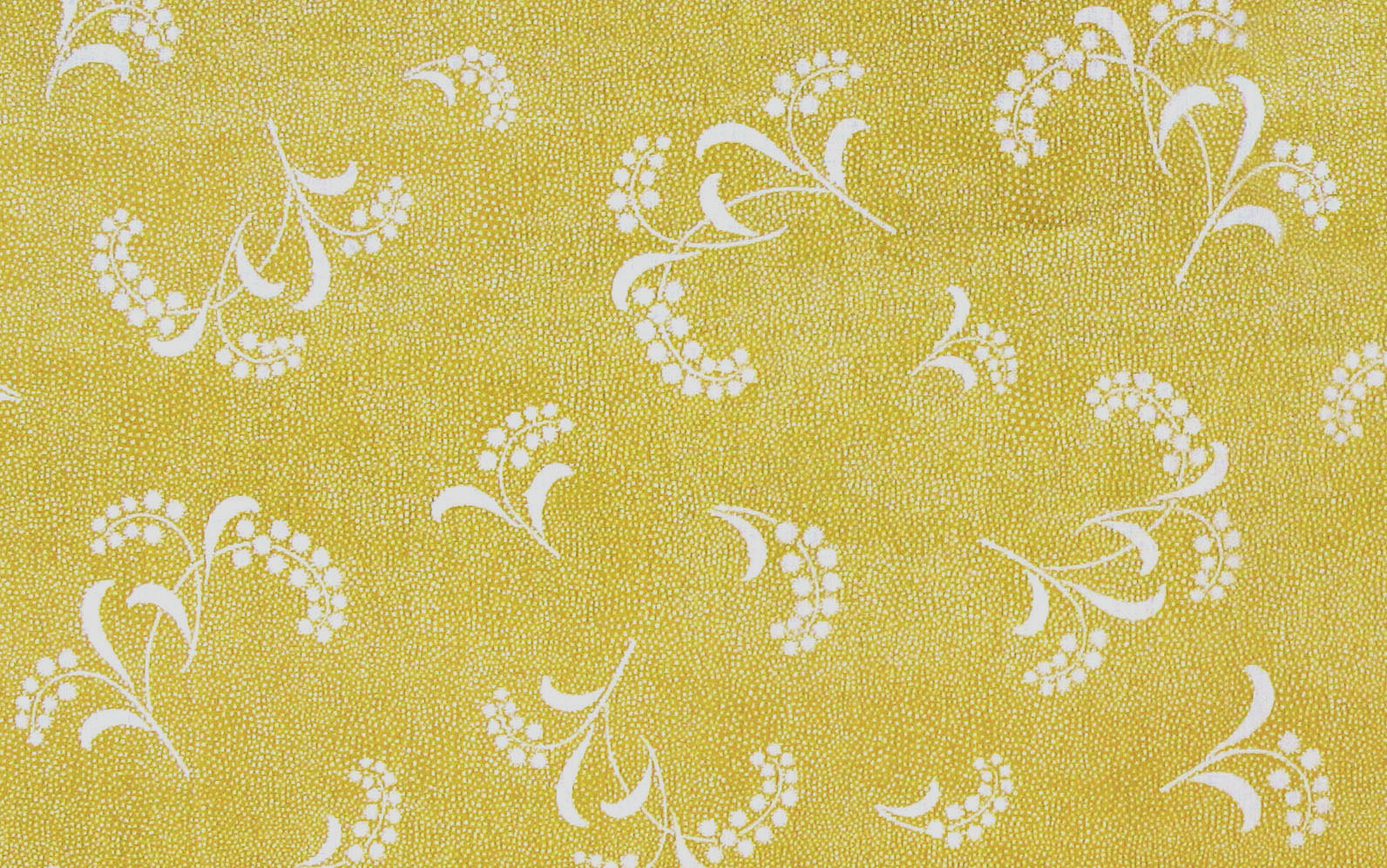 Mimosa Yellow small edited.jpg
