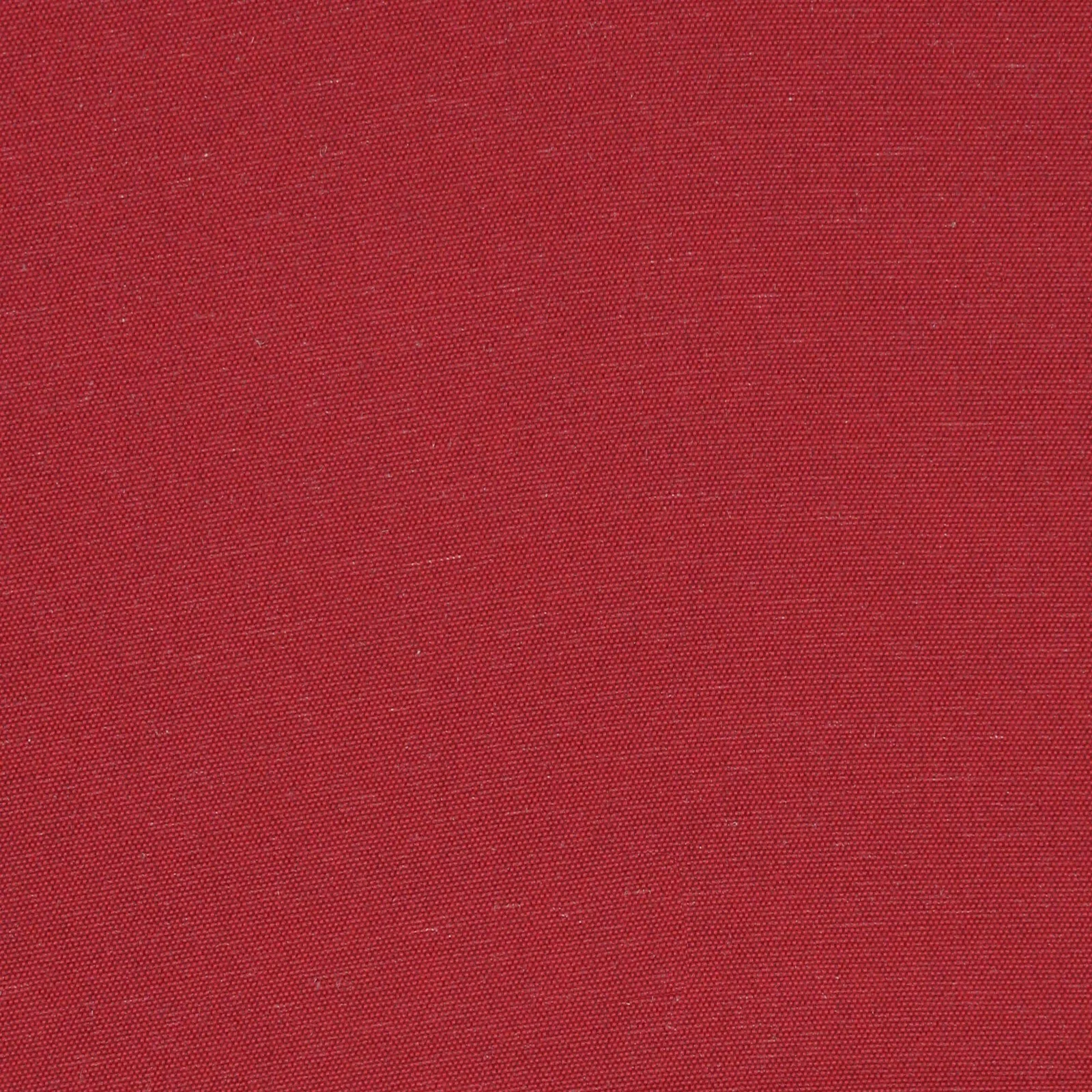 Gorder Plain Cayenne .jpg