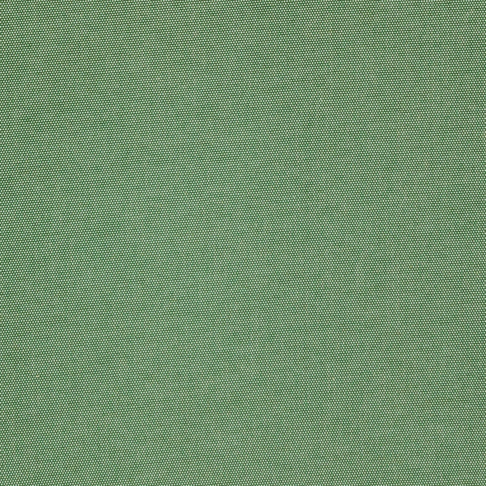 Gordes Plain Thyme .jpg