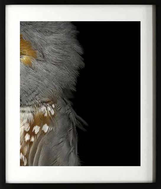 framed-12.jpg
