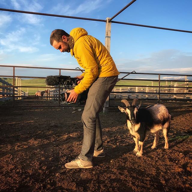 Does it look like I goat time for you to check your white balance 📷: @katy_robin_garton #onlocation #goatpuns #crewlife #ranchlife #montanamoment