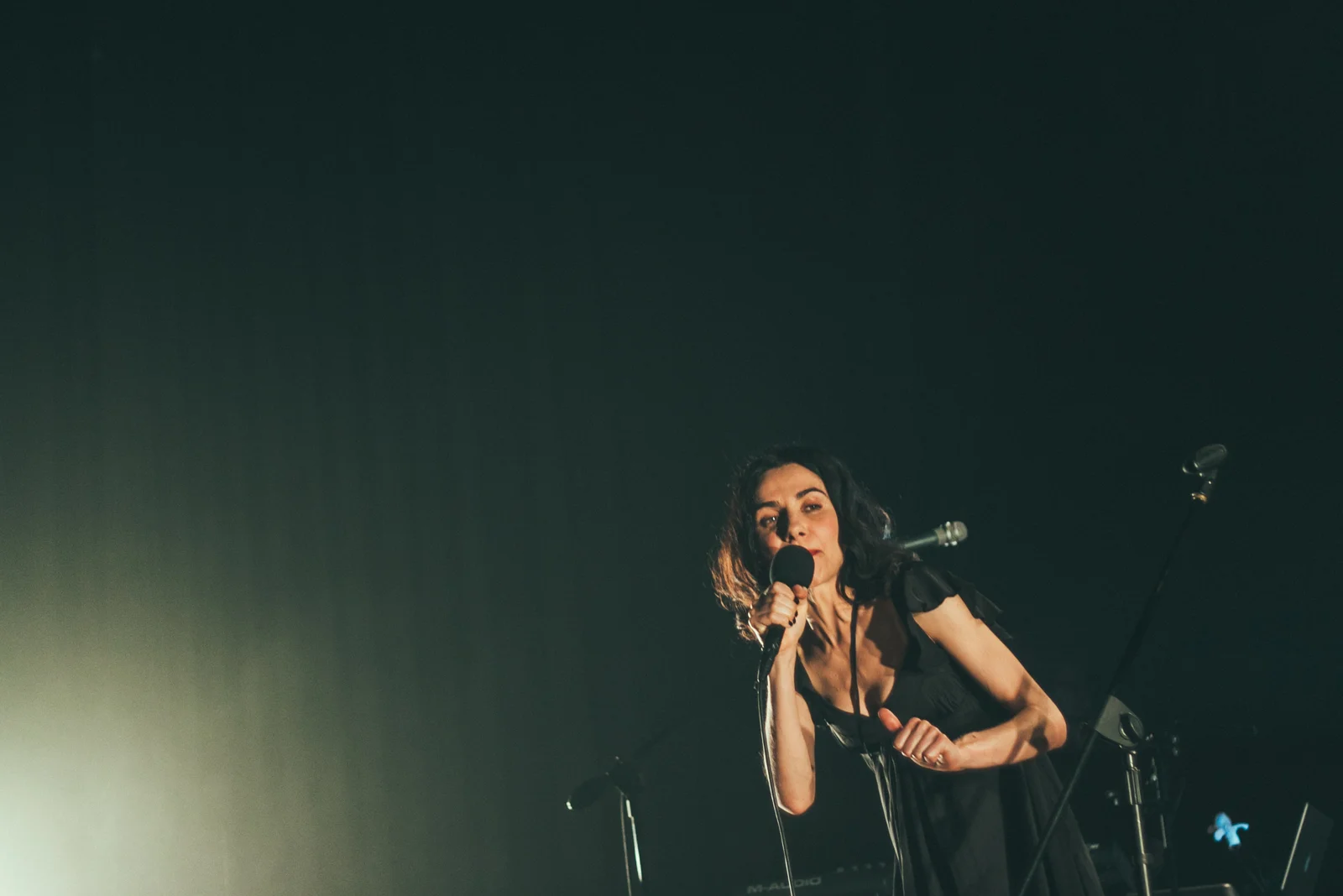 pj harvey - 2009
