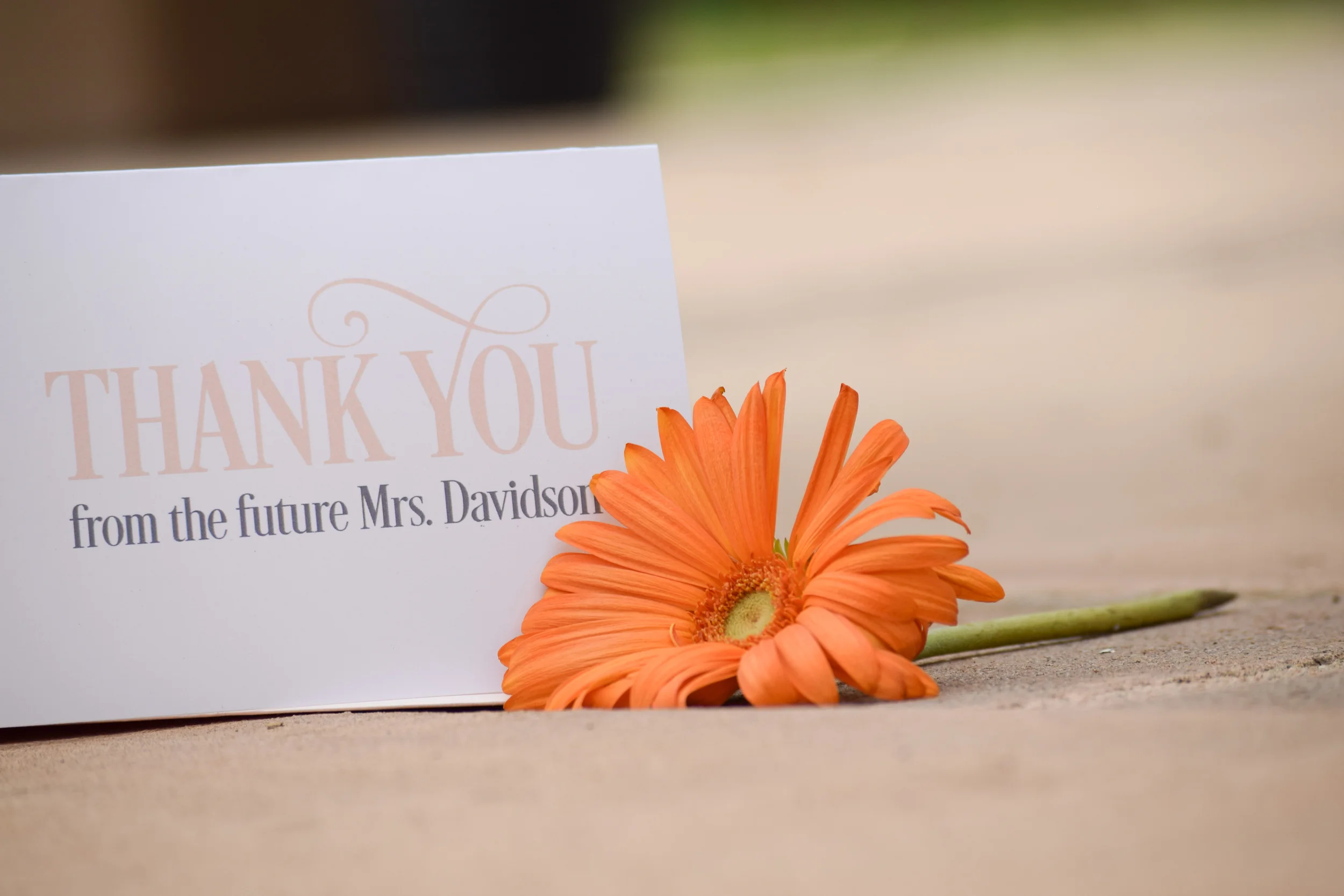 Personalized Wedding Thank You Cards by Second City Stationery
