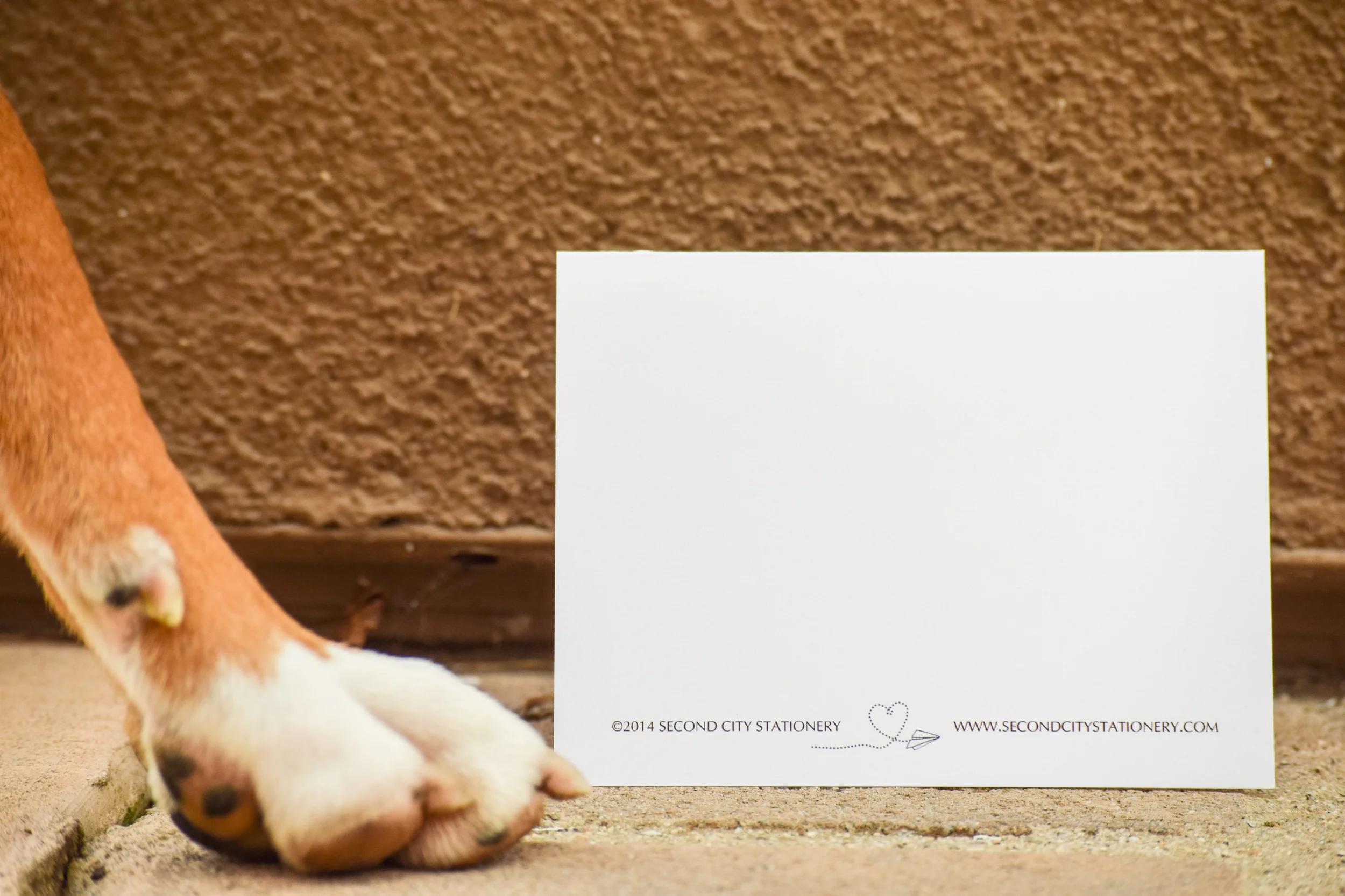 Personalized Wedding Thank You Cards by Second City Stationery