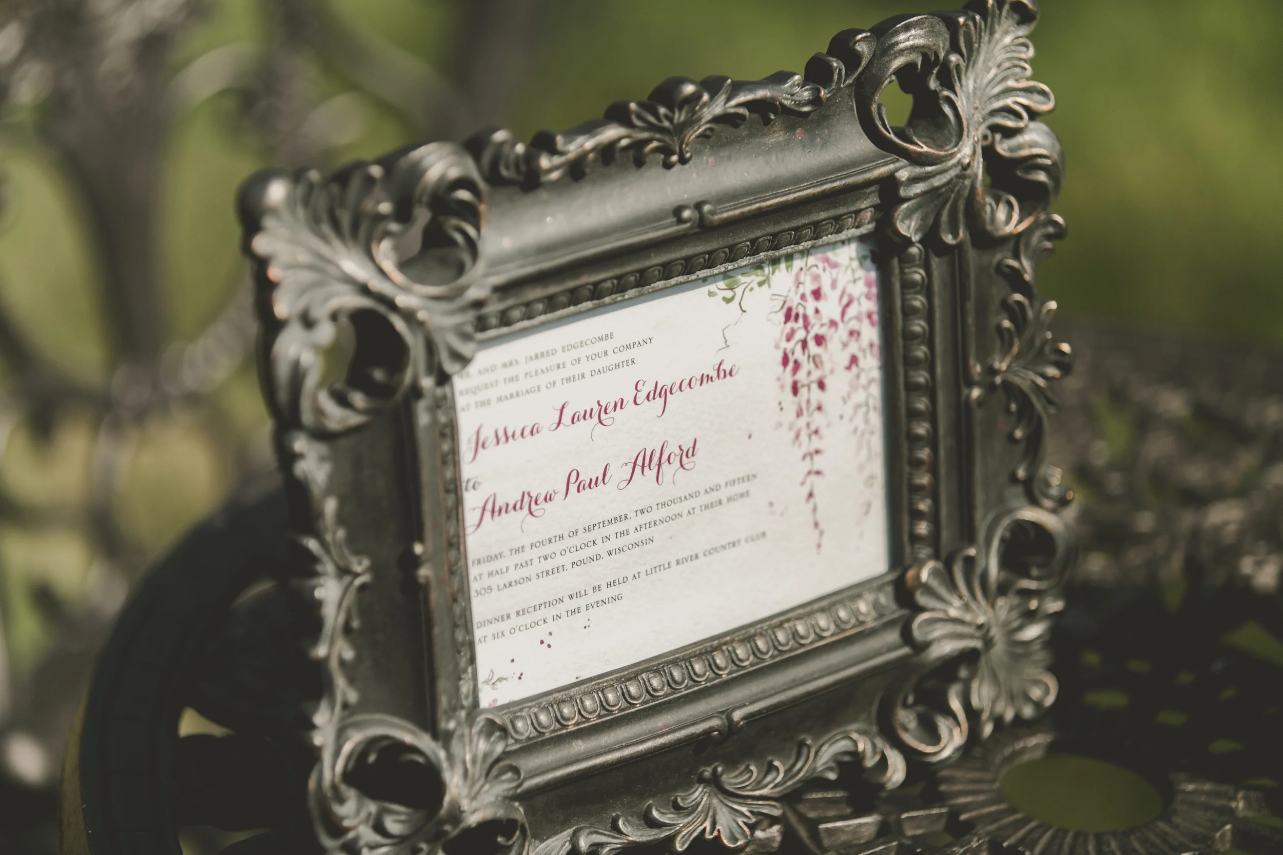 a classic Wisconsin backyard wedding - star wars wedding