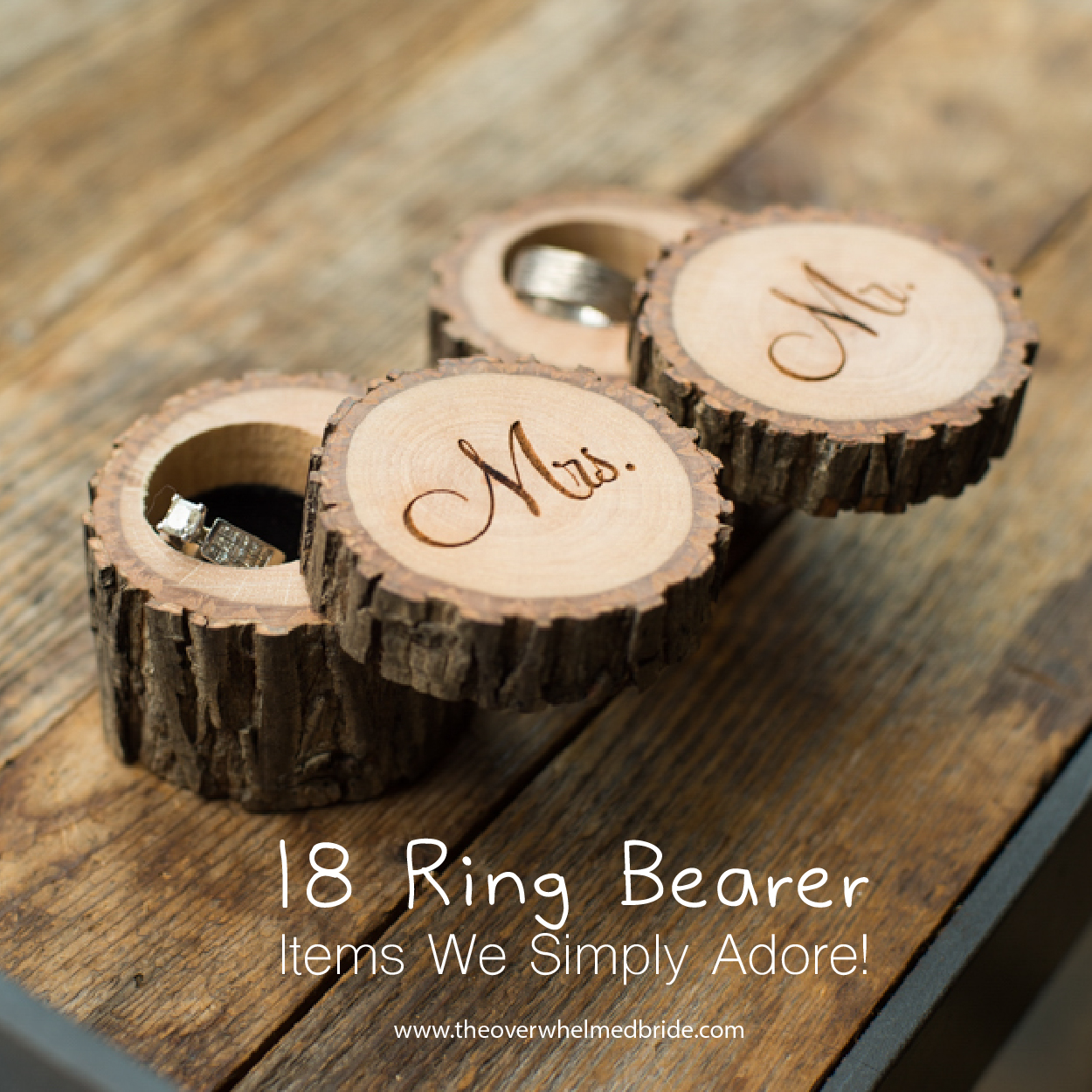 Cute ring bearer with baby s breath ring pillow