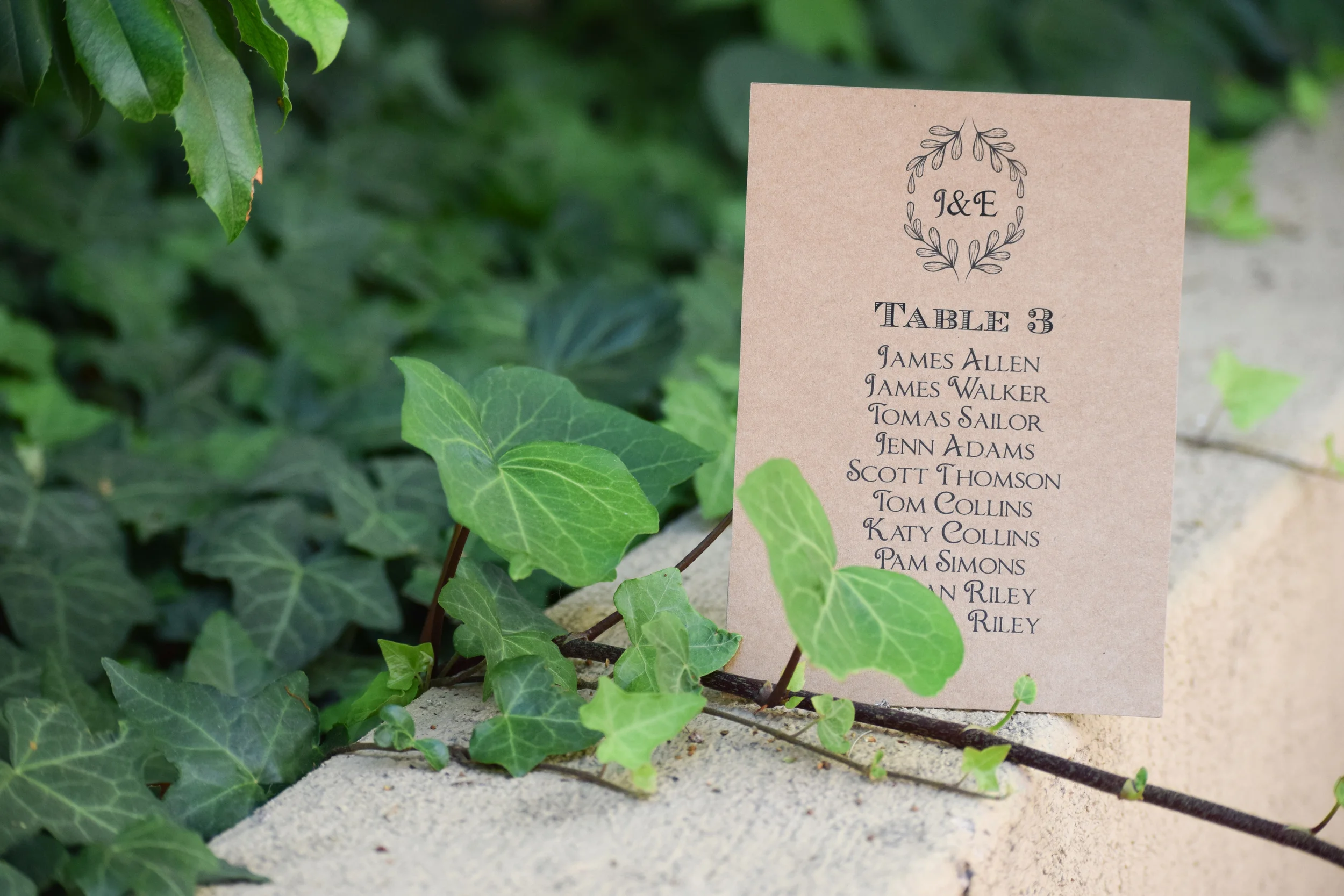 The Bridal Boutique | DIY Wedding Seating Charts by BSN Party Art