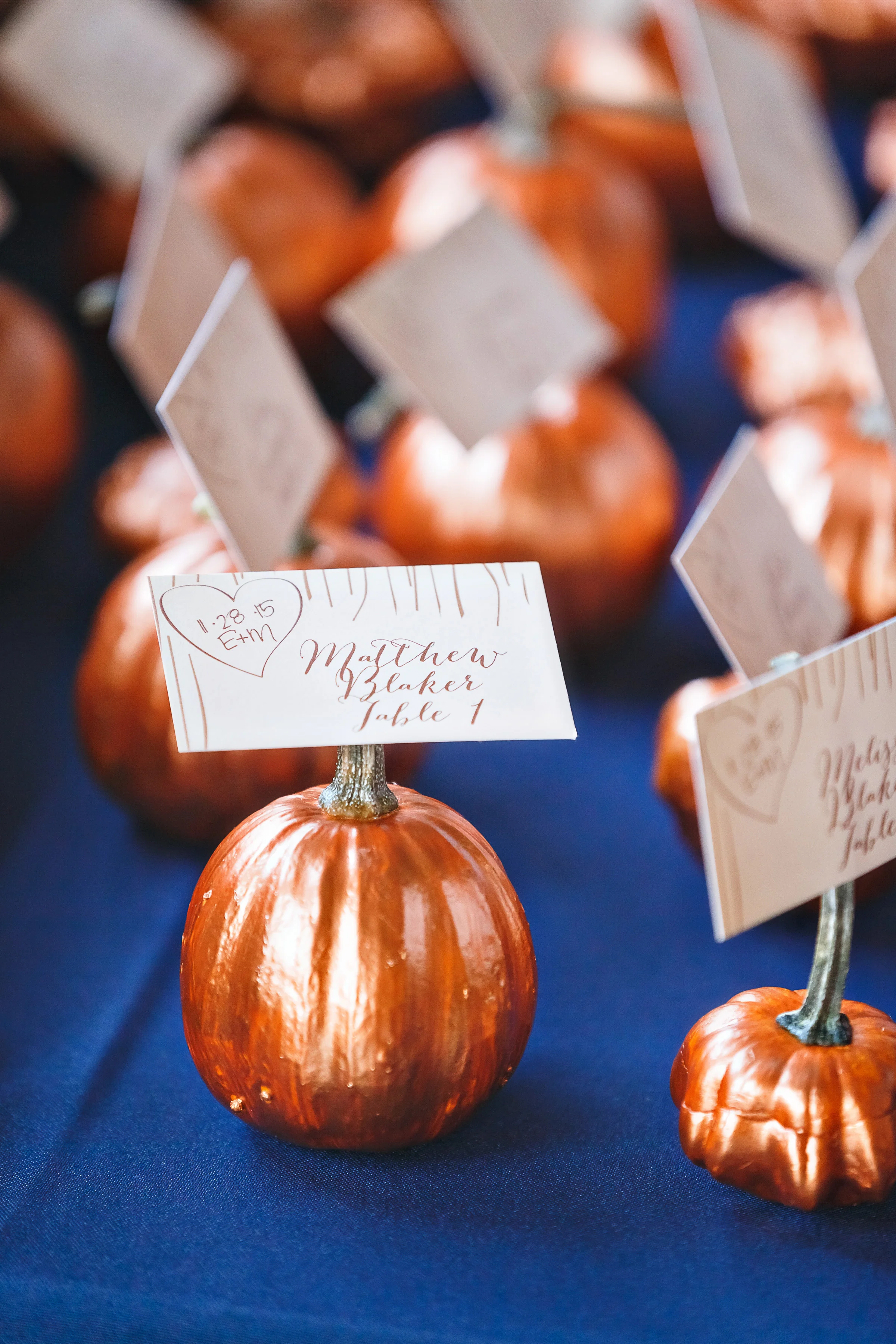 Quirky, Classy Virginia Wedding at The Vintager Inn