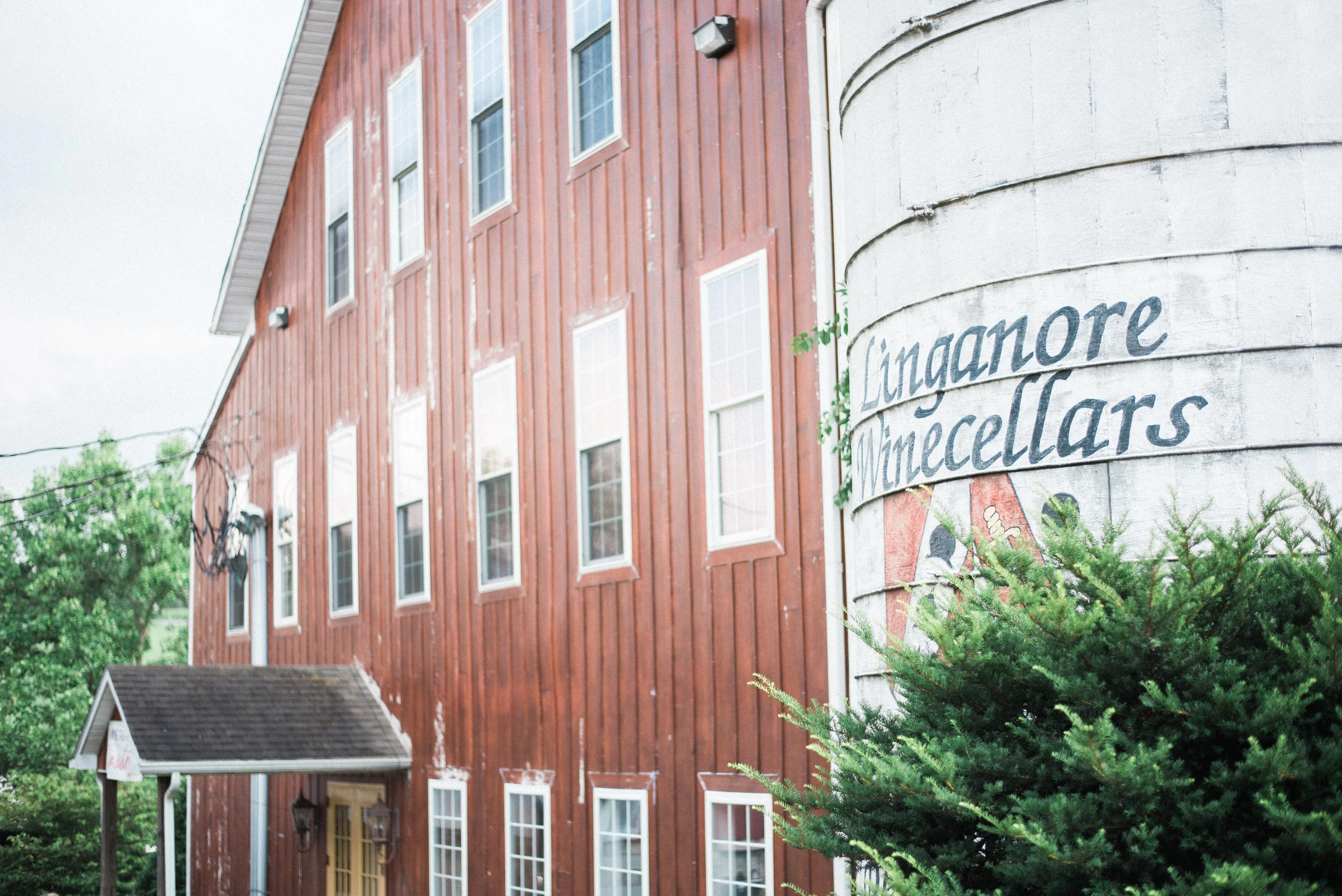 Maryland Vineyard Wedding at Linganore Winery