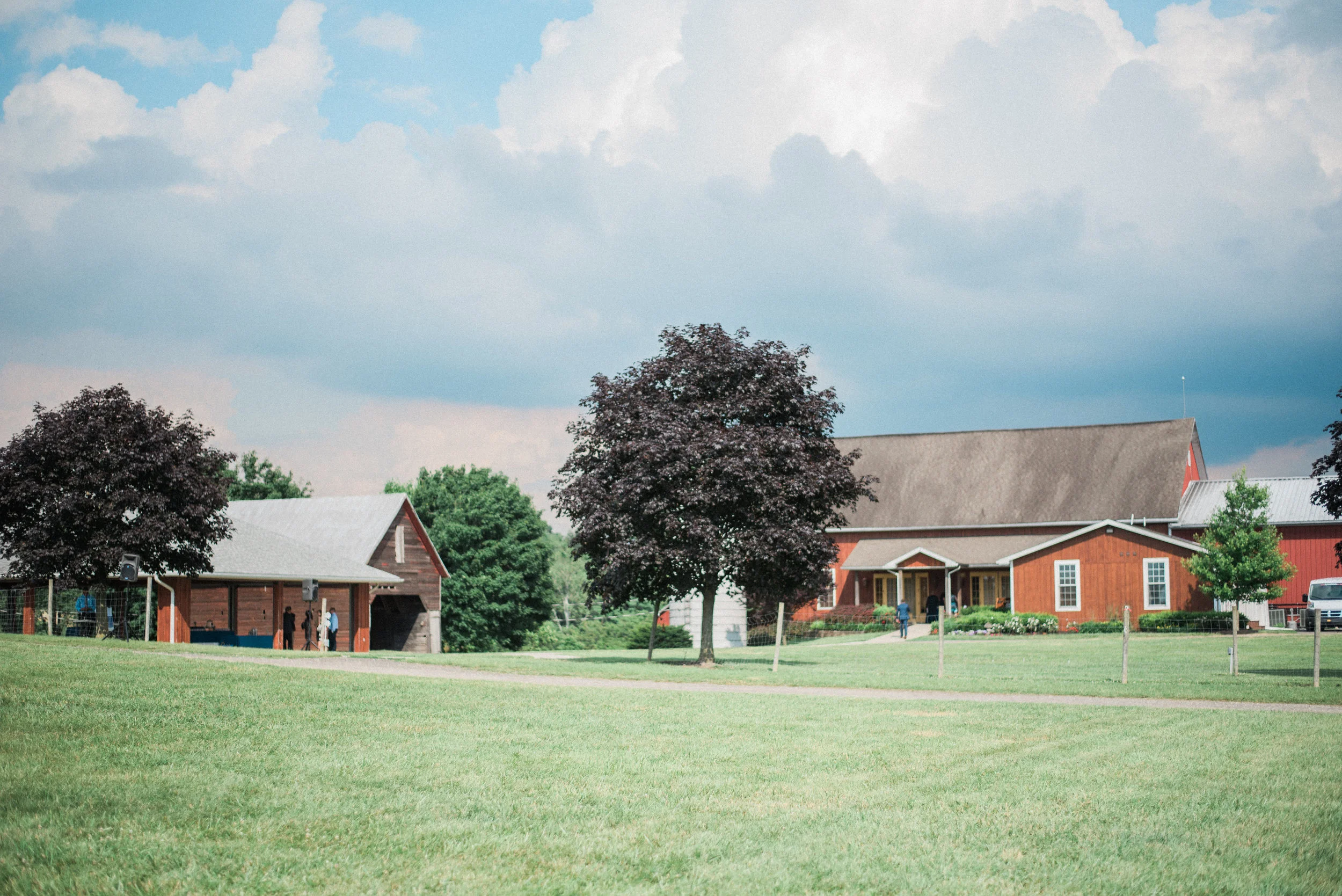 Maryland Vineyard Wedding at Linganore Winery
