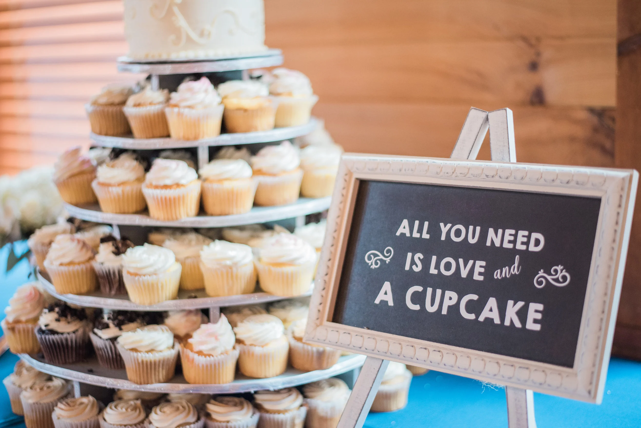 Maryland Vineyard Wedding at Linganore Winery