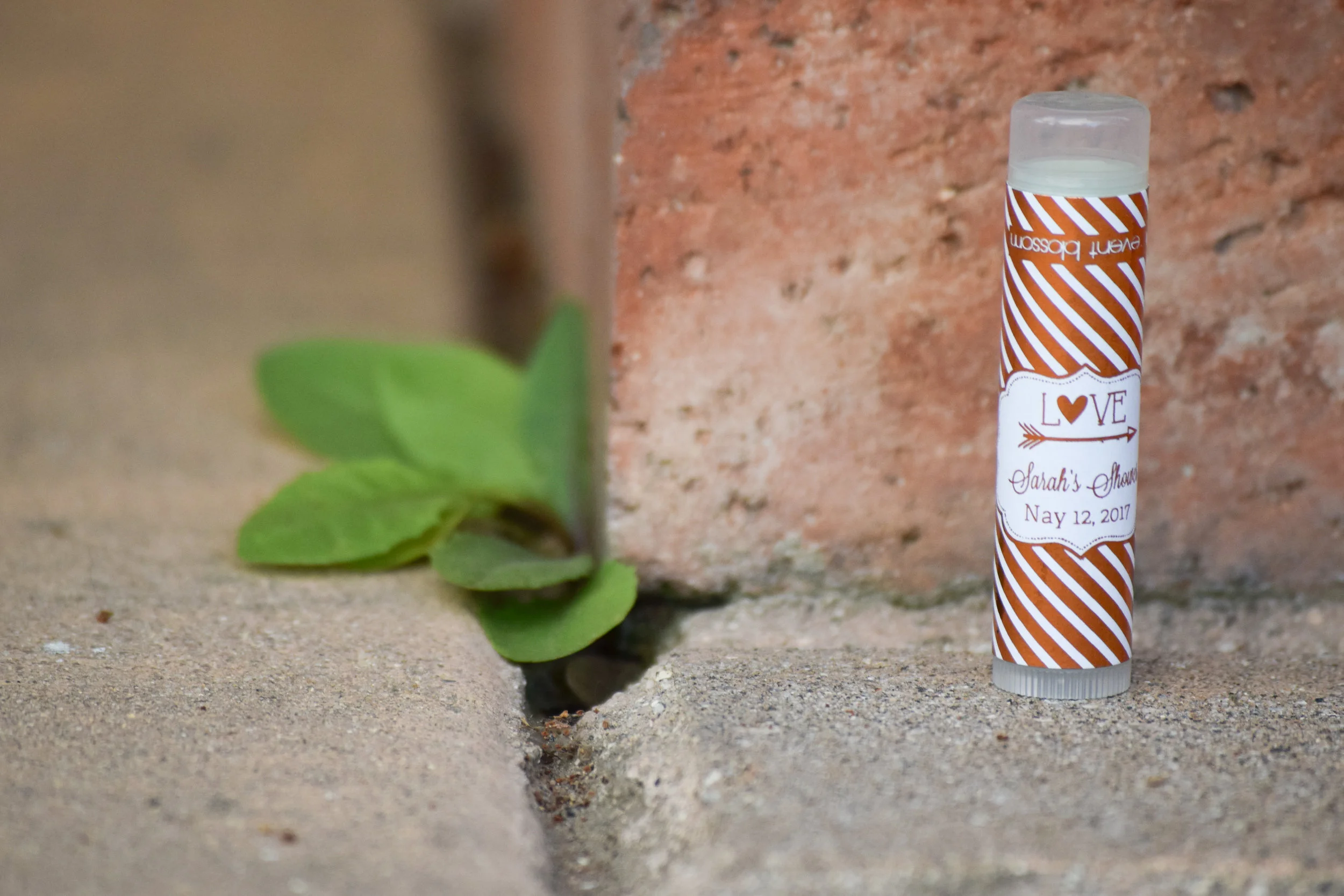 Personalized Lip Balm Bachelorette Party Favors by ModParty