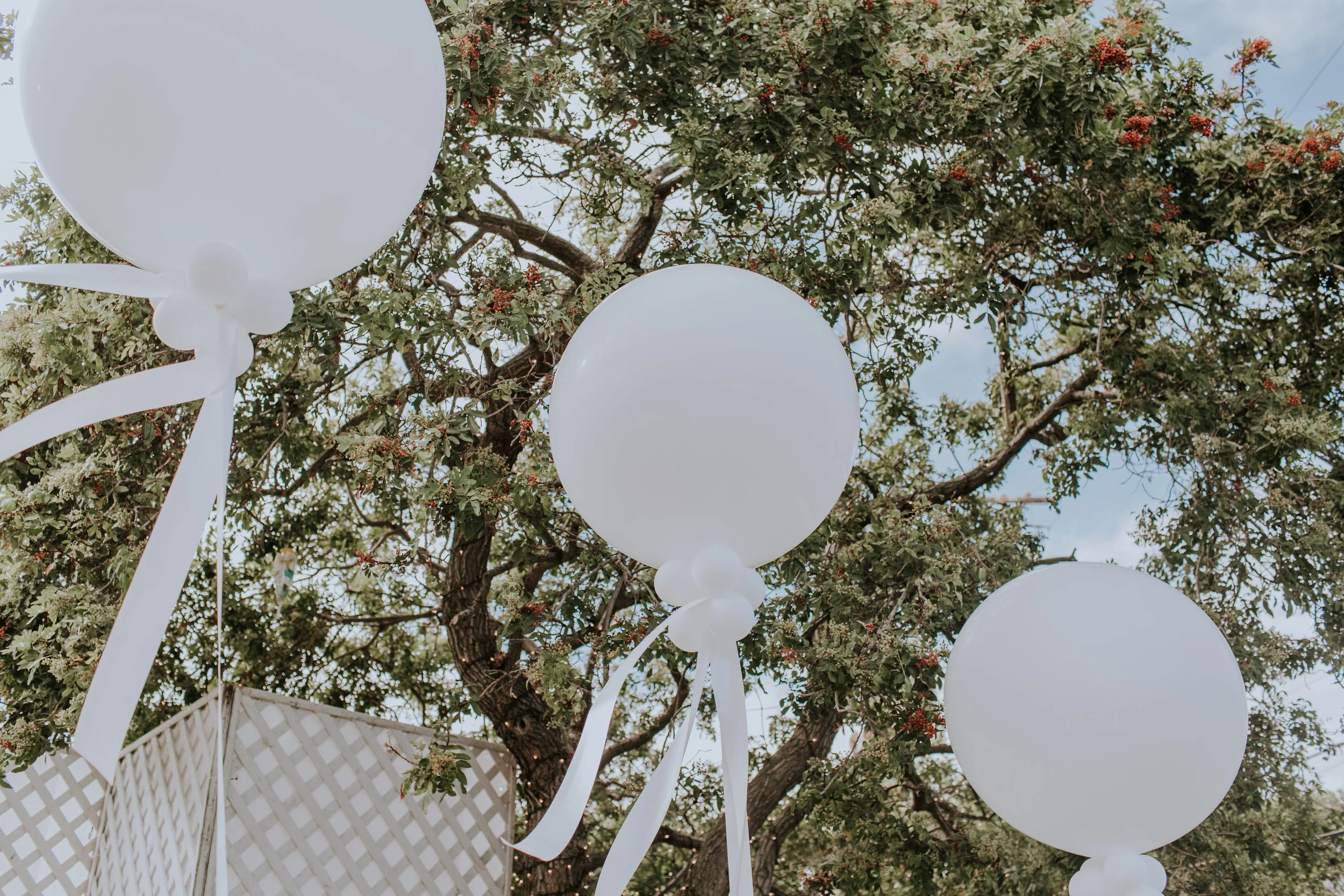 A Blush + White Malibu West Beach Club Wedding by Rachel Wakefield Photography