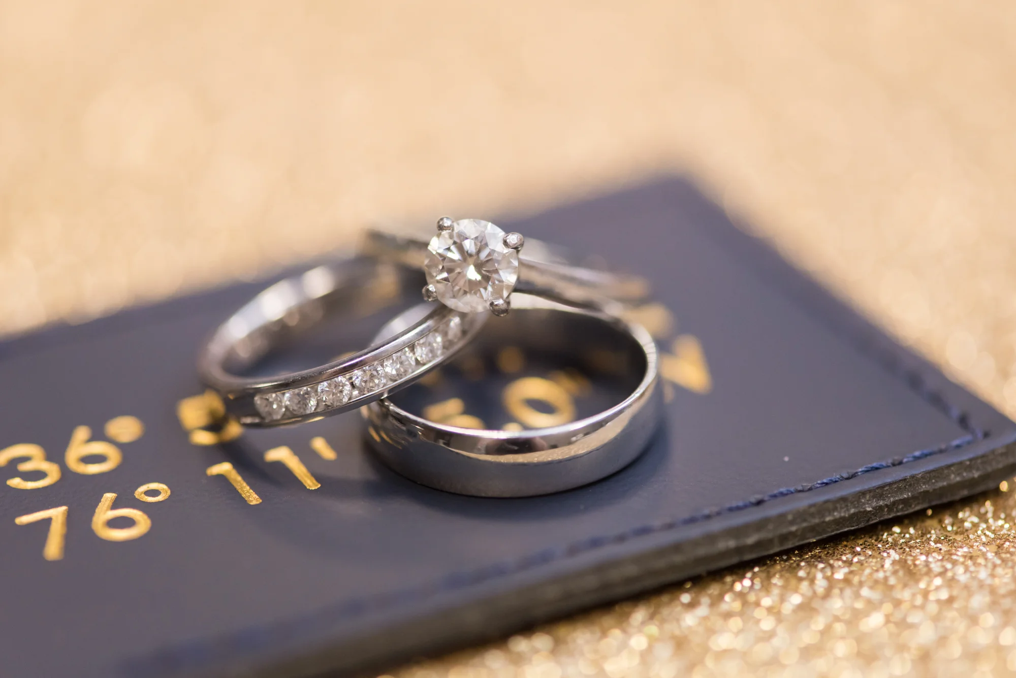 Engageent Ring Photos - Travel Themed Wedding - Caitlin Gerres Photography