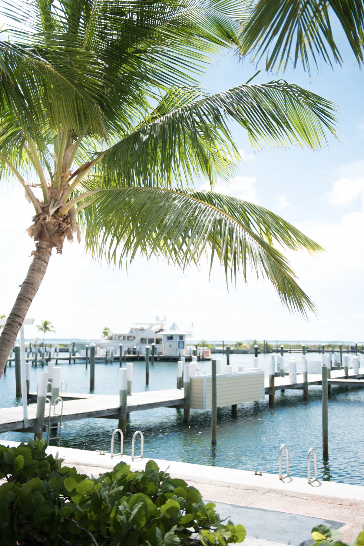 Abaco Resort - Bahamas Destination Wedding - Bahamas Beach Wedding