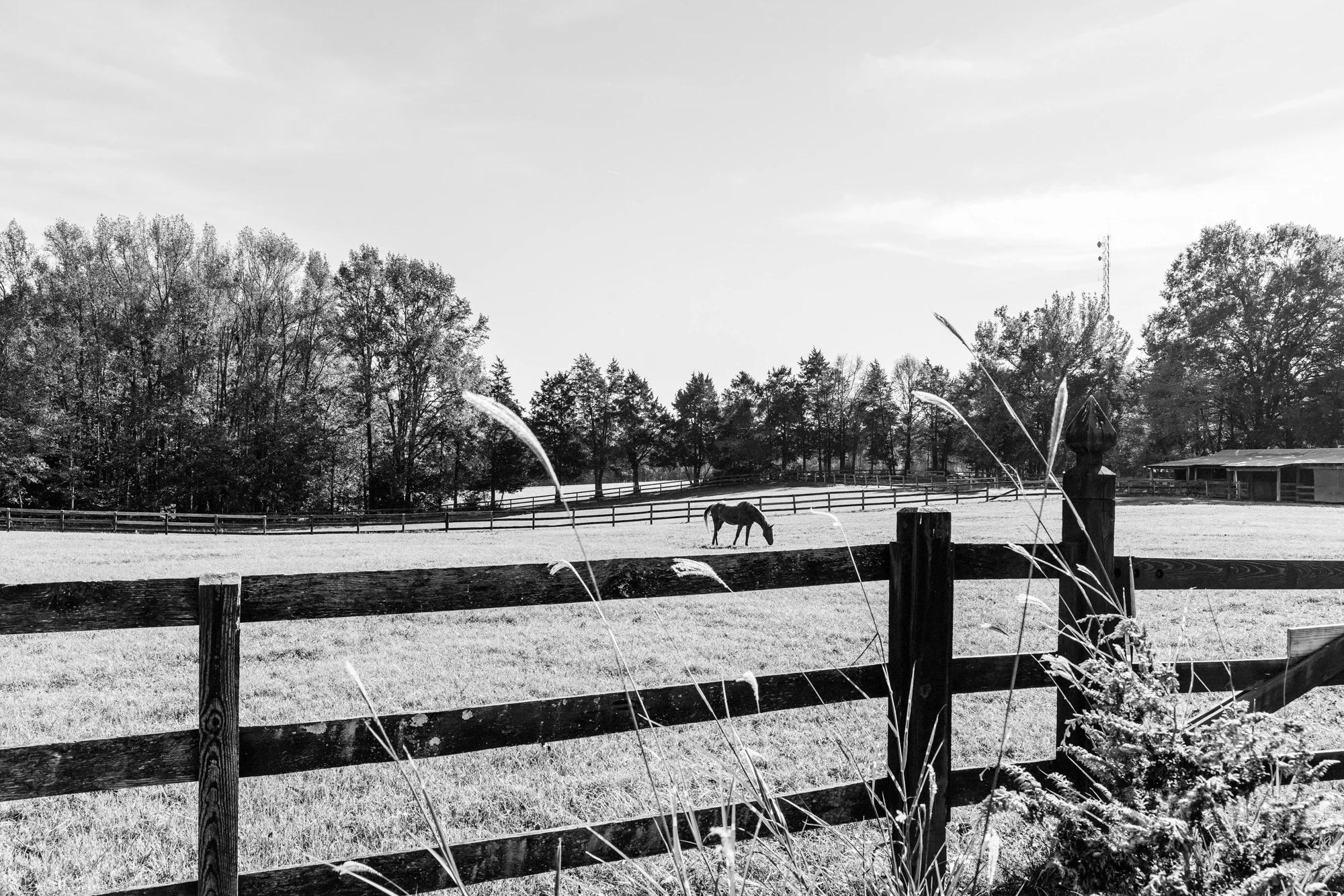 ENGAGEMENT PHOTOS | A Virginia Farm Engagement Session - Free Atkins Photography
