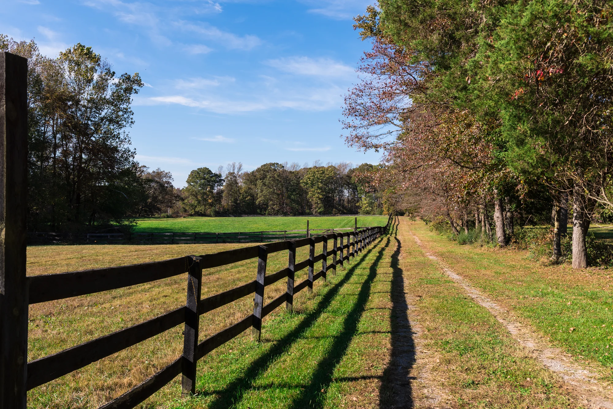 ENGAGEMENT PHOTOS | A Virginia Farm Engagement Session - Free Atkins Photography